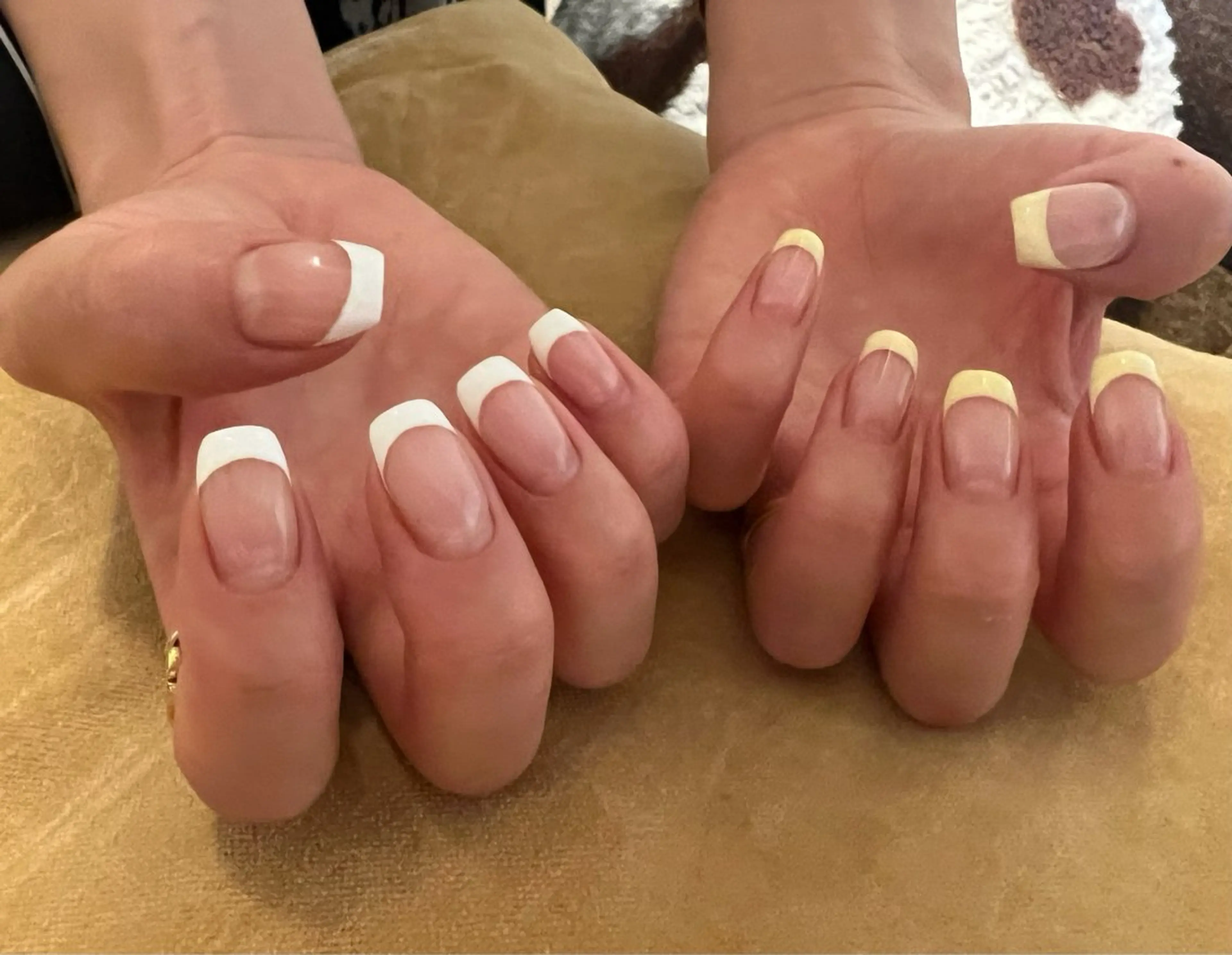 フレンチ🫧オフなし🫧の写真