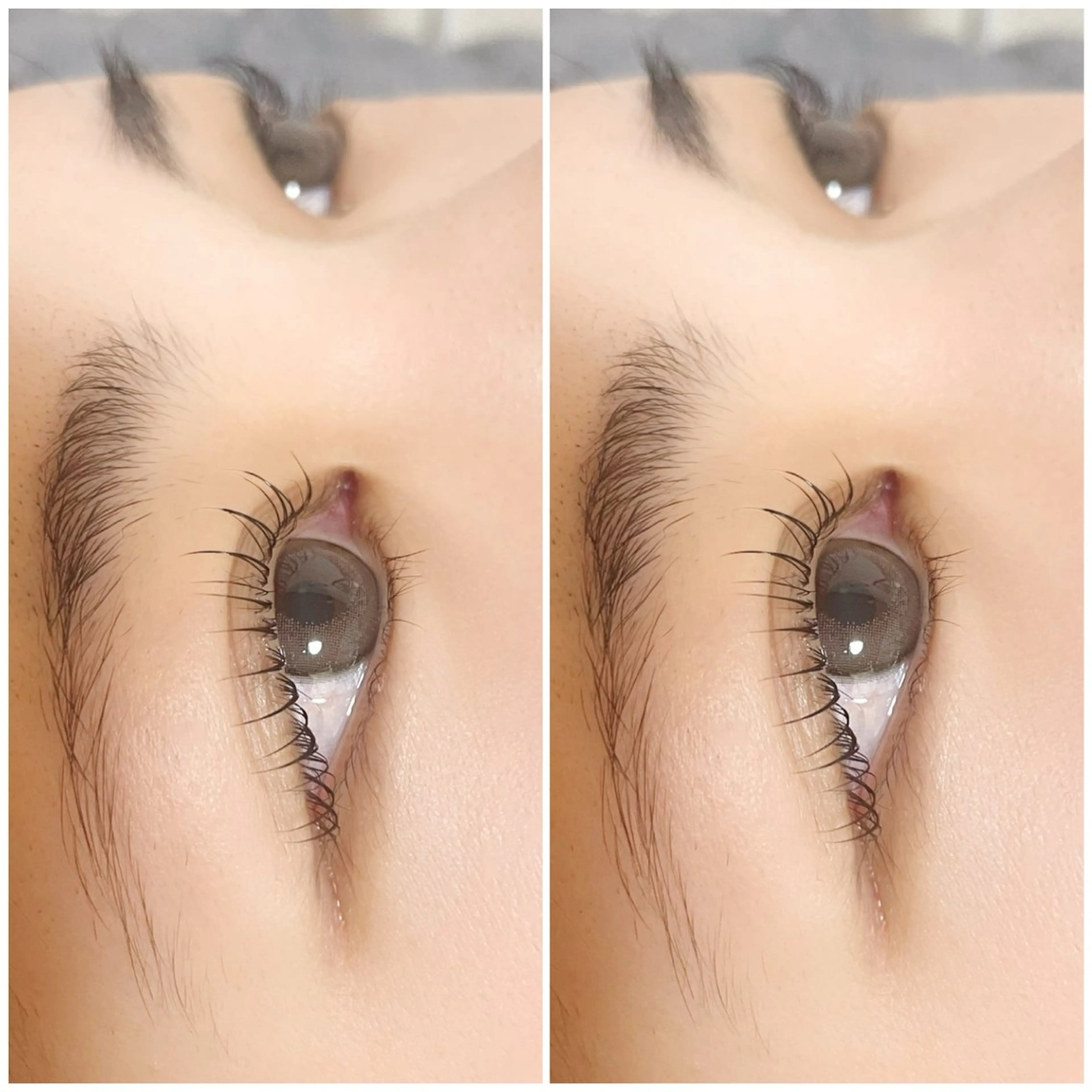 マツエク・マツパ yume   eyelash所属・yumeka 【eyelash】のマツエク・マツパデザイン