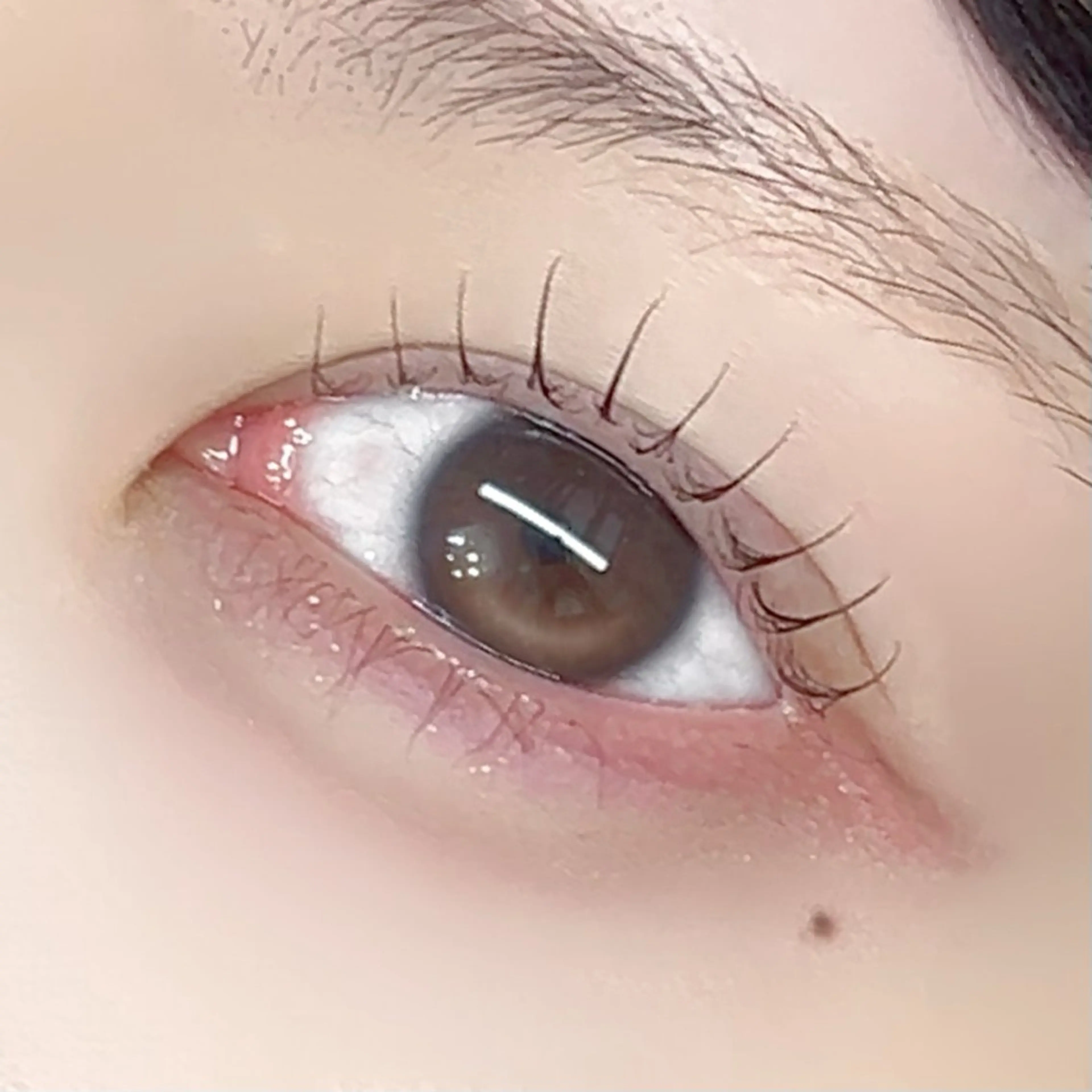 マツエク・マツパ まつげパーマ Lian所属・【Lian】 らん🦋の眉毛・アイブロウイメージ