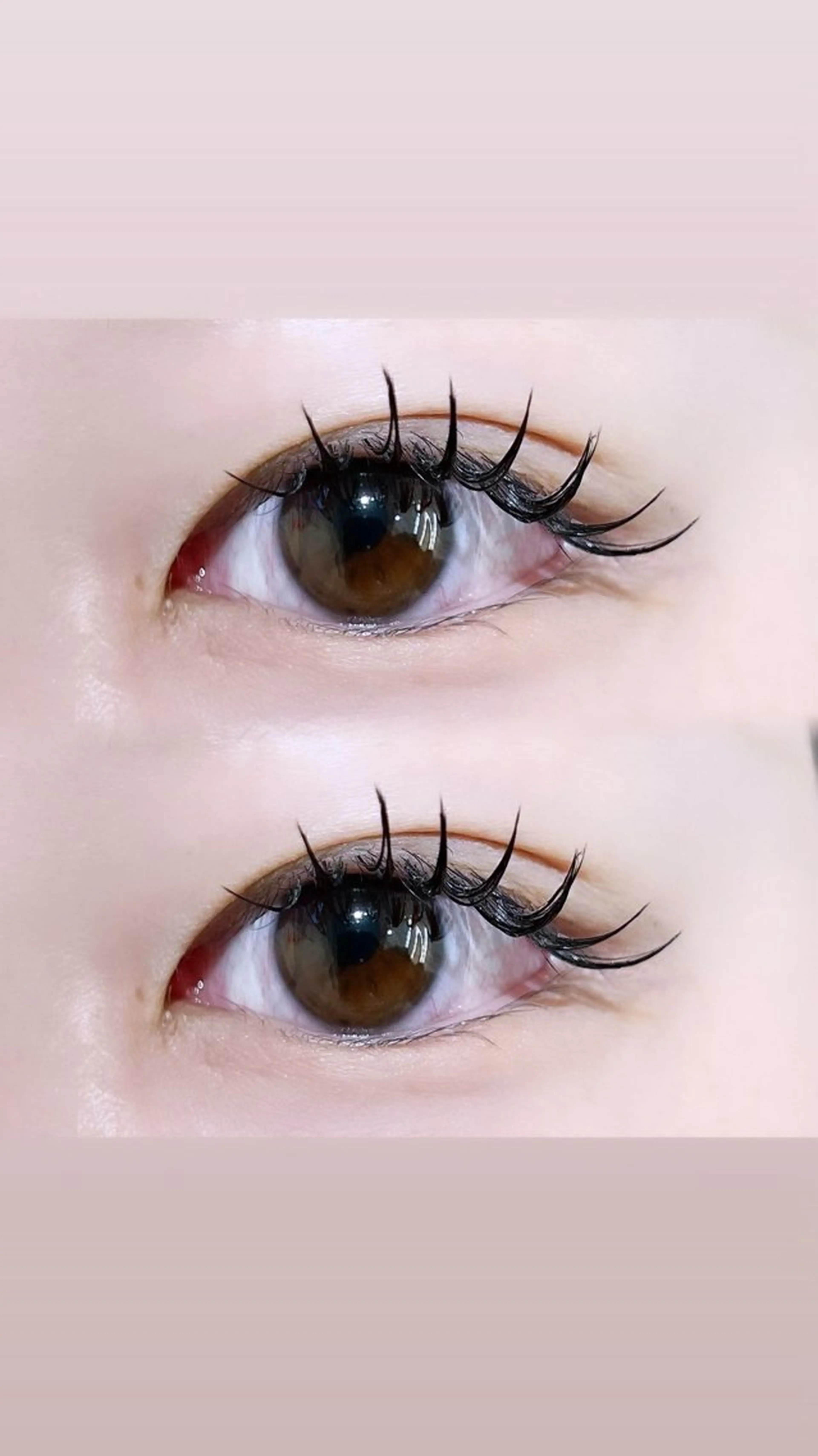 マツエク・マツパ Cカール 🤍𐙚KONOHO 束感まつ毛𐙚🤍のヘアスタイル