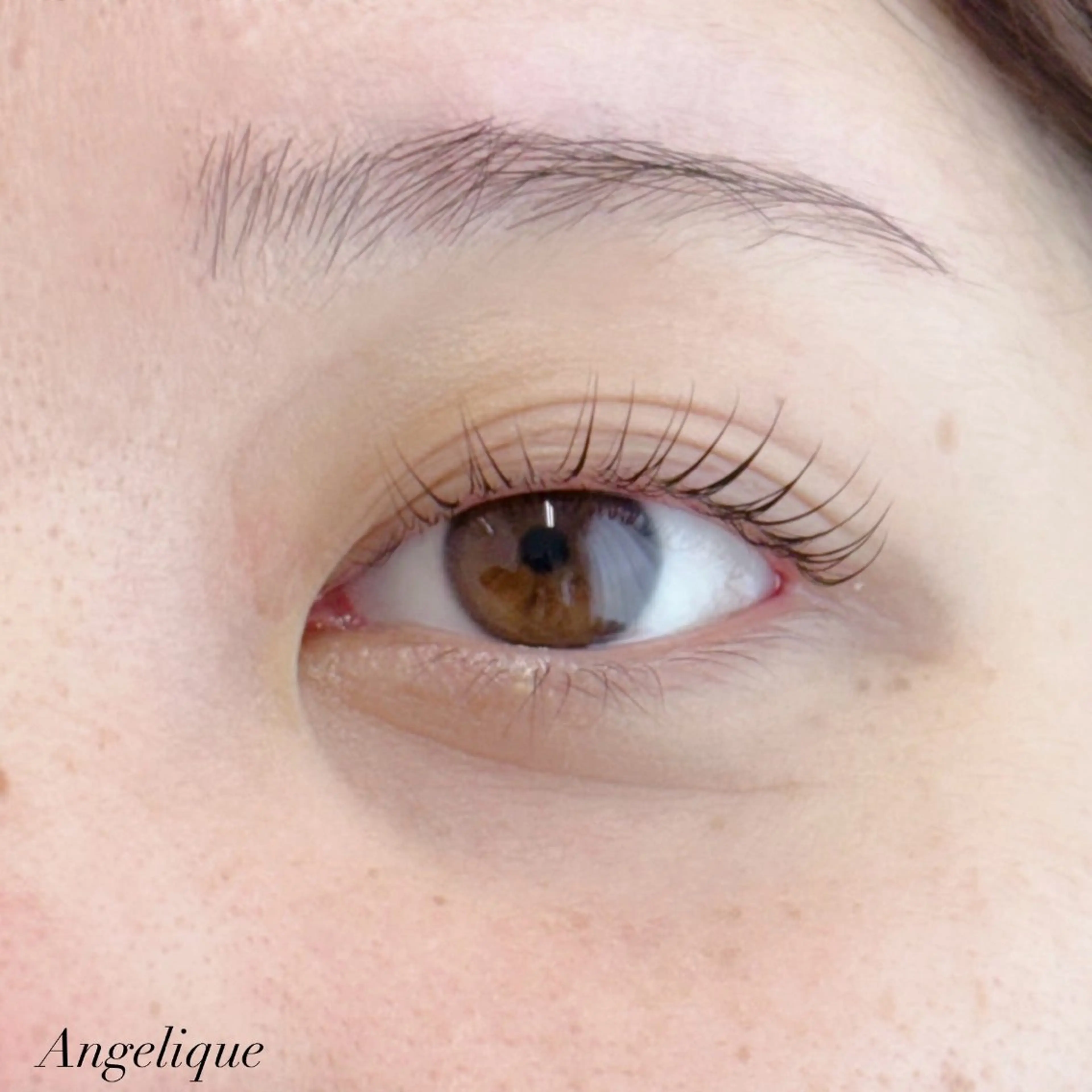 🤍ラッシュリフトカール~お仕上げコーティング付き~🤍の写真