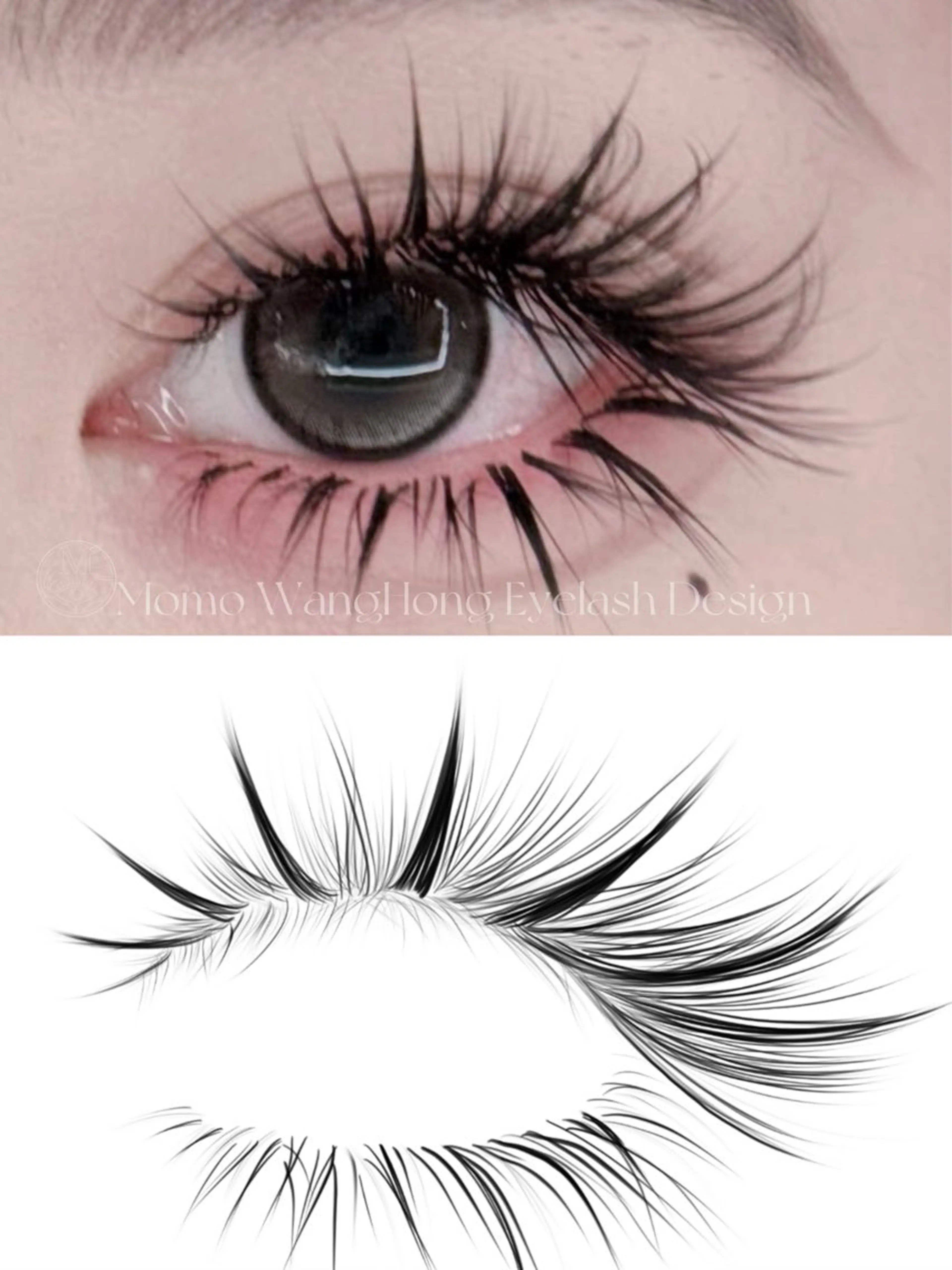 🎀【4D野生感漫画Design】2回目以降18980の写真