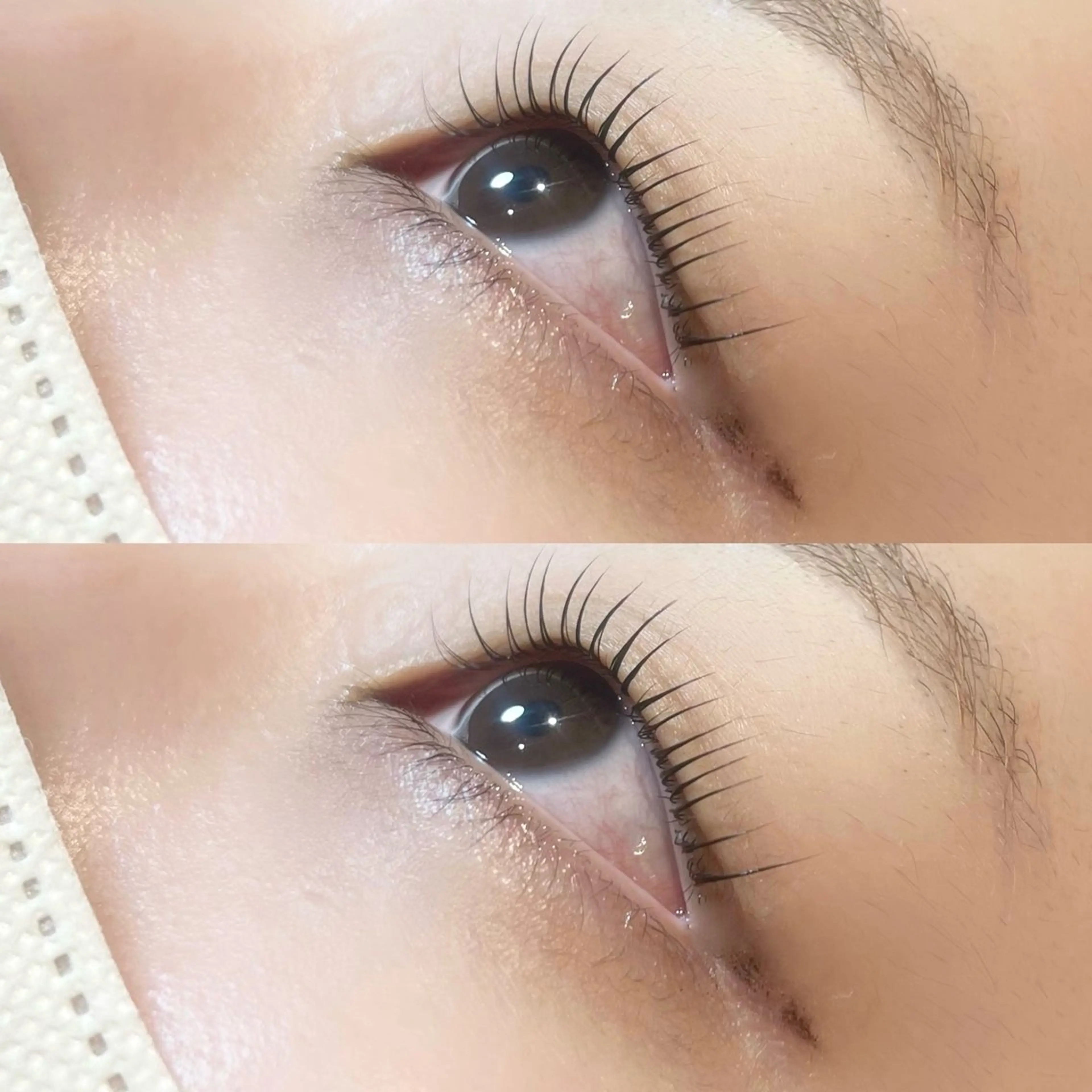 マツエク・マツパ 𝒆𝒊𝒈𝒉𝒕 杏花のマツエク・マツパデザイン