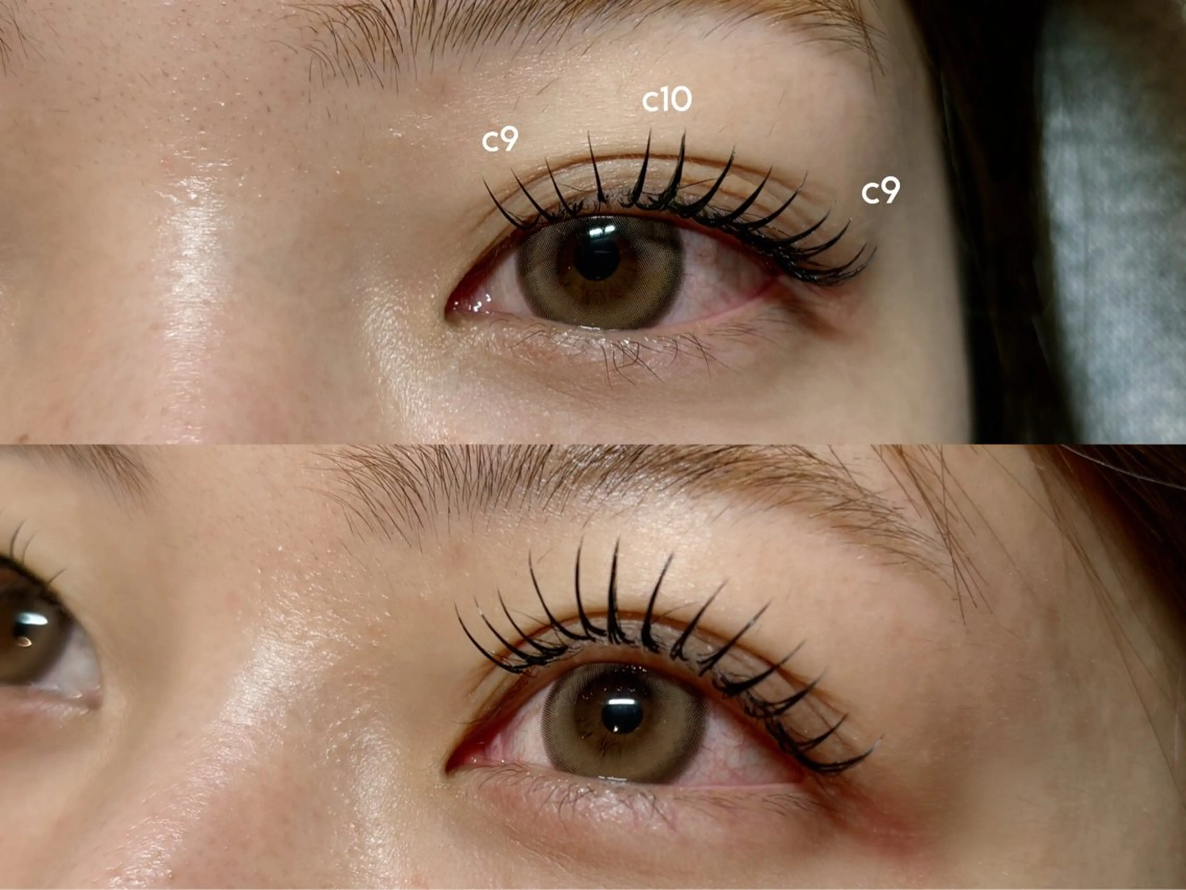 バインドロック80束の写真