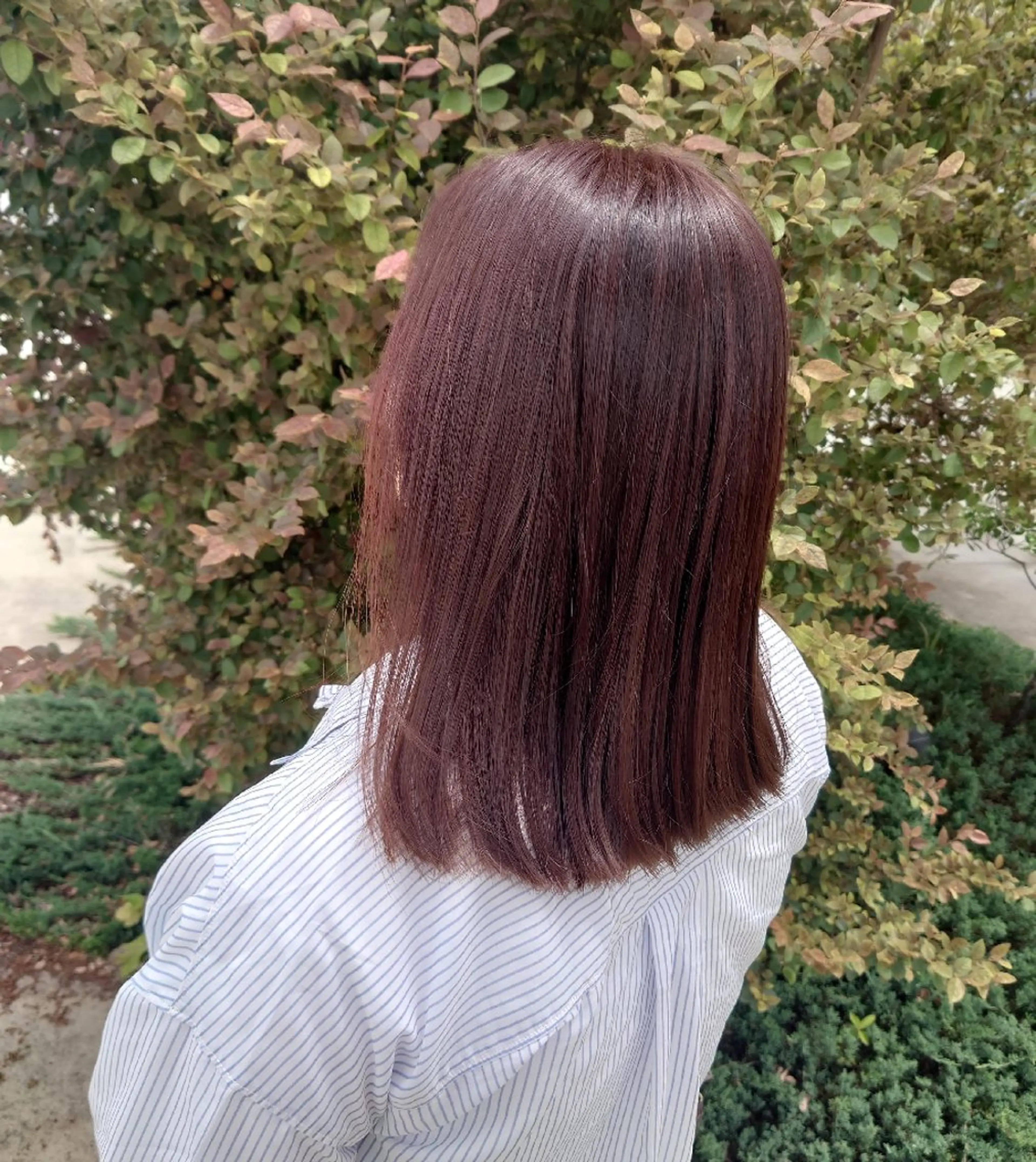 カラー オレンジ ピンクカラー ヘアカラー トリートメント 藤田 和花のヘアスタイル