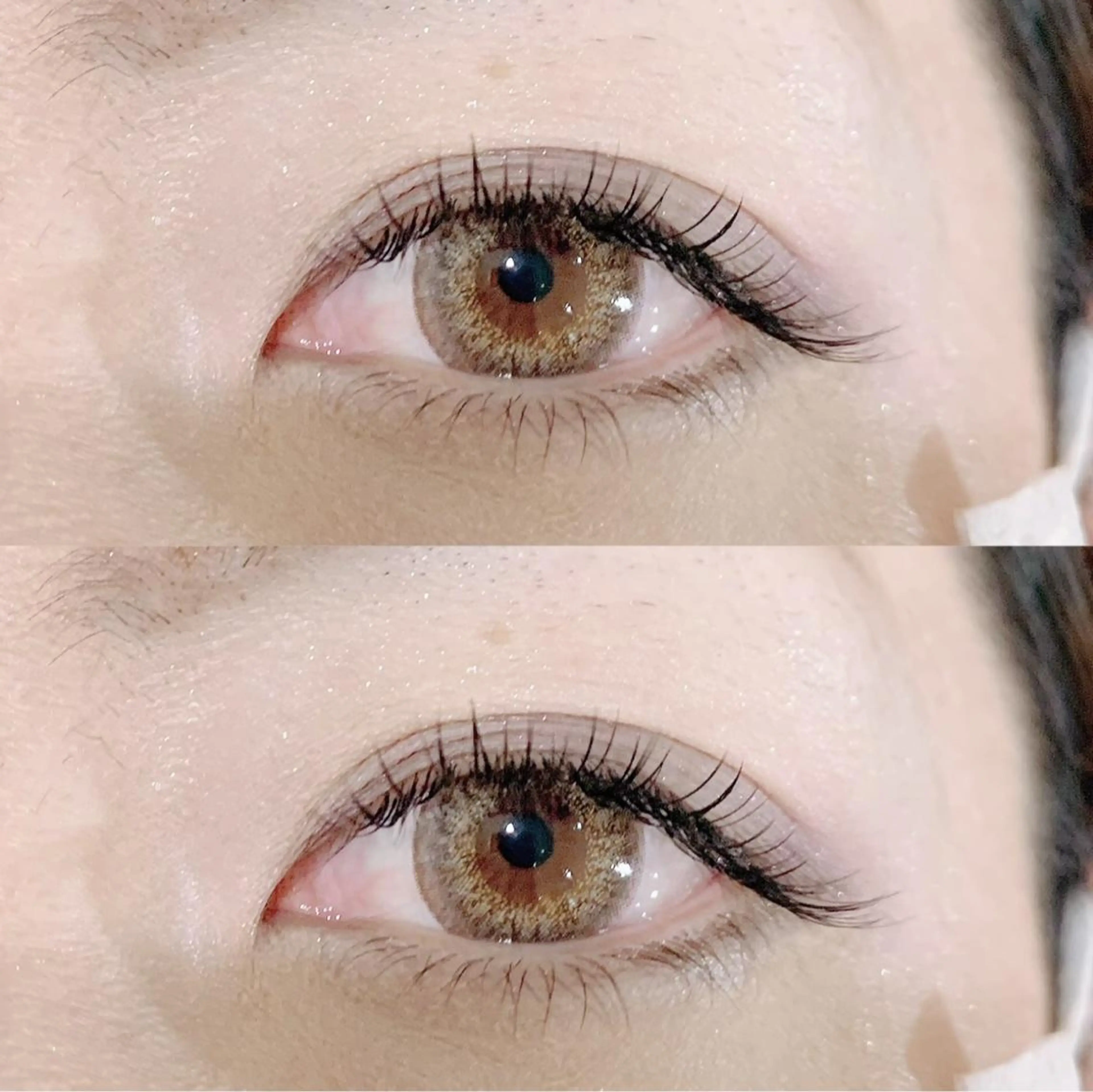 フラットラッシュ120本《オフの有無をお知らせください》の写真