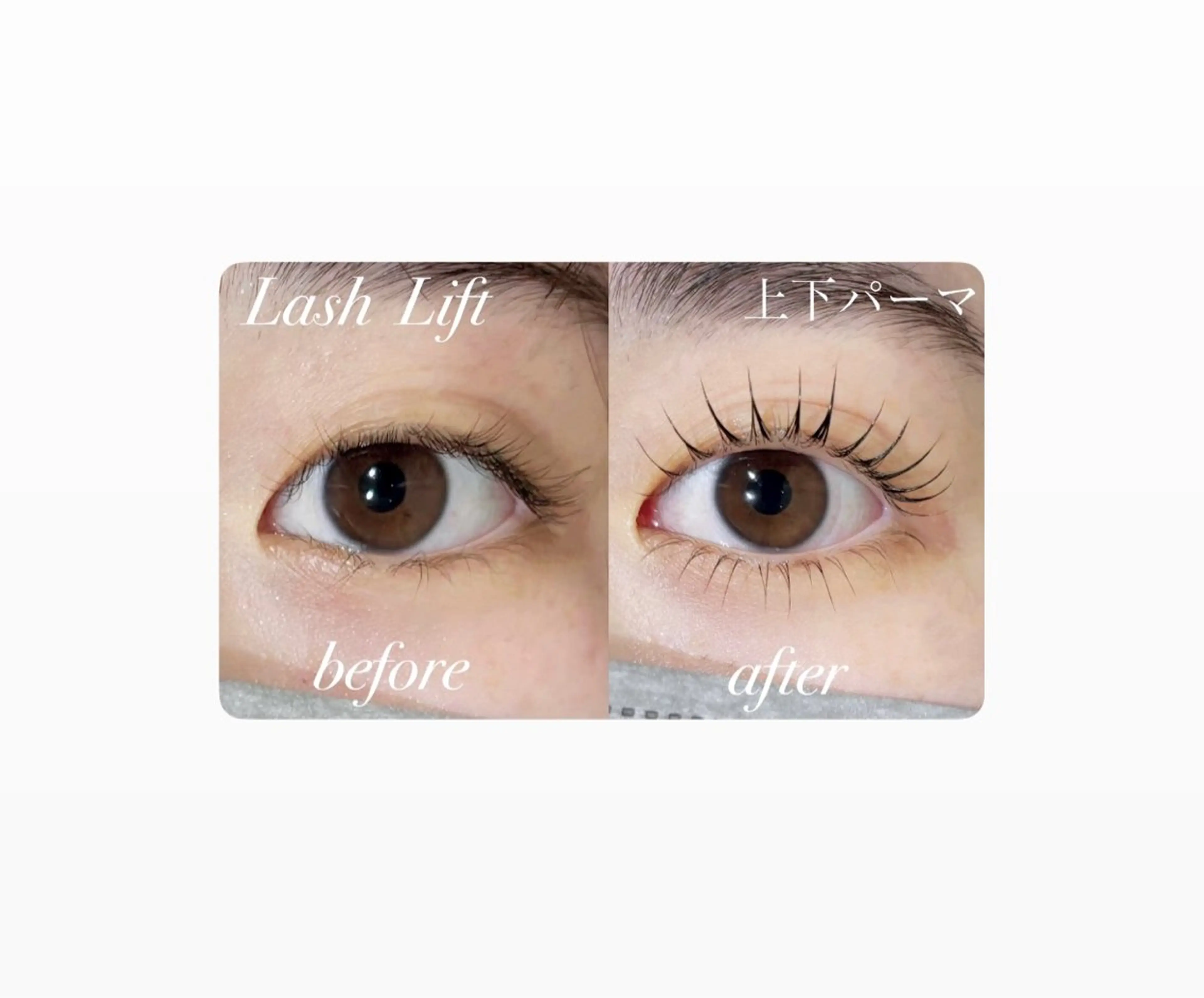 マツエク・マツパ 一重×まつ毛パーマ 🤍下村 絢香🤍のマツエク・マツパデザイン