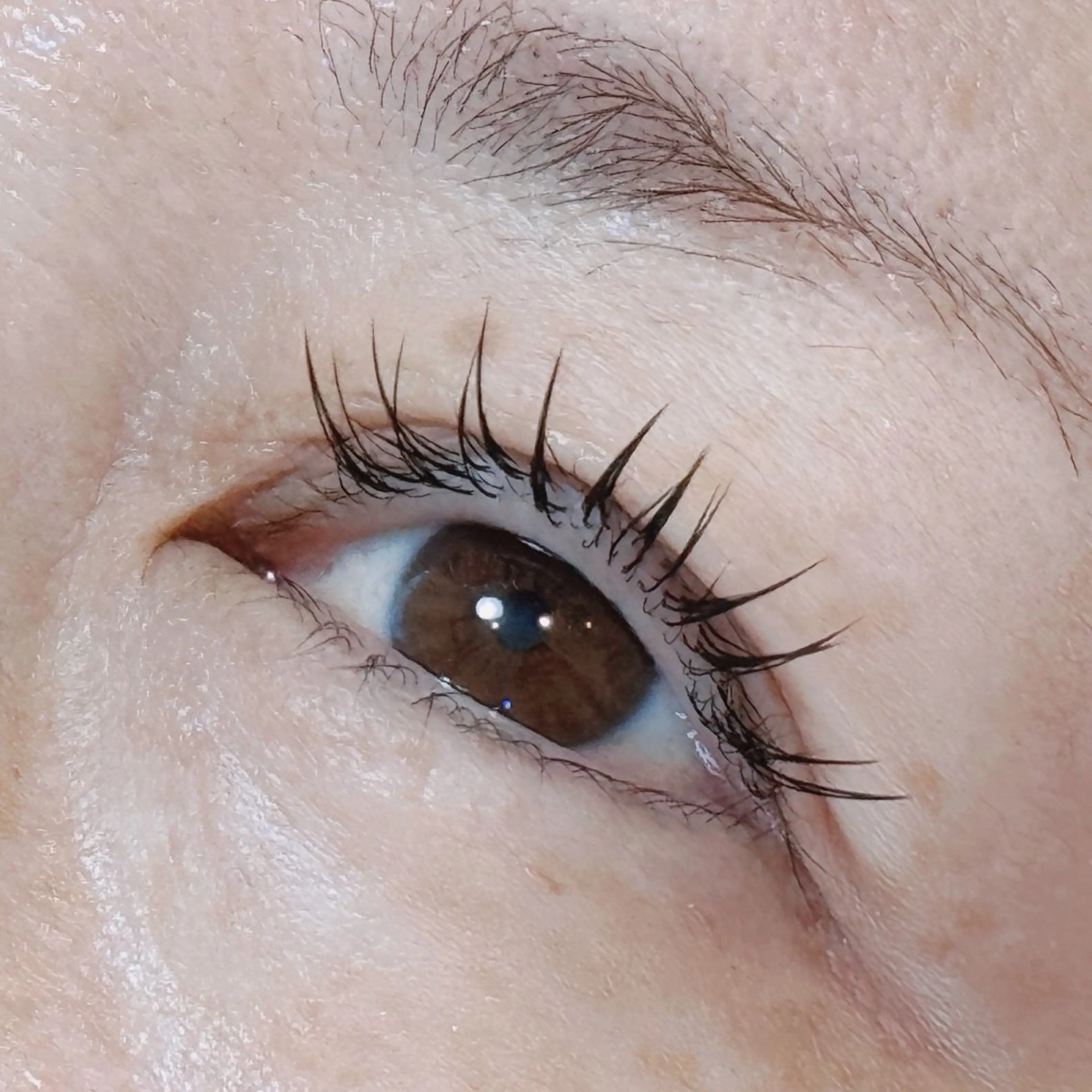 マツエク・マツパ フラットラッシュ Jカール ナチュラル セーブル マツエク August 大野のマツエク・マツパデザイン