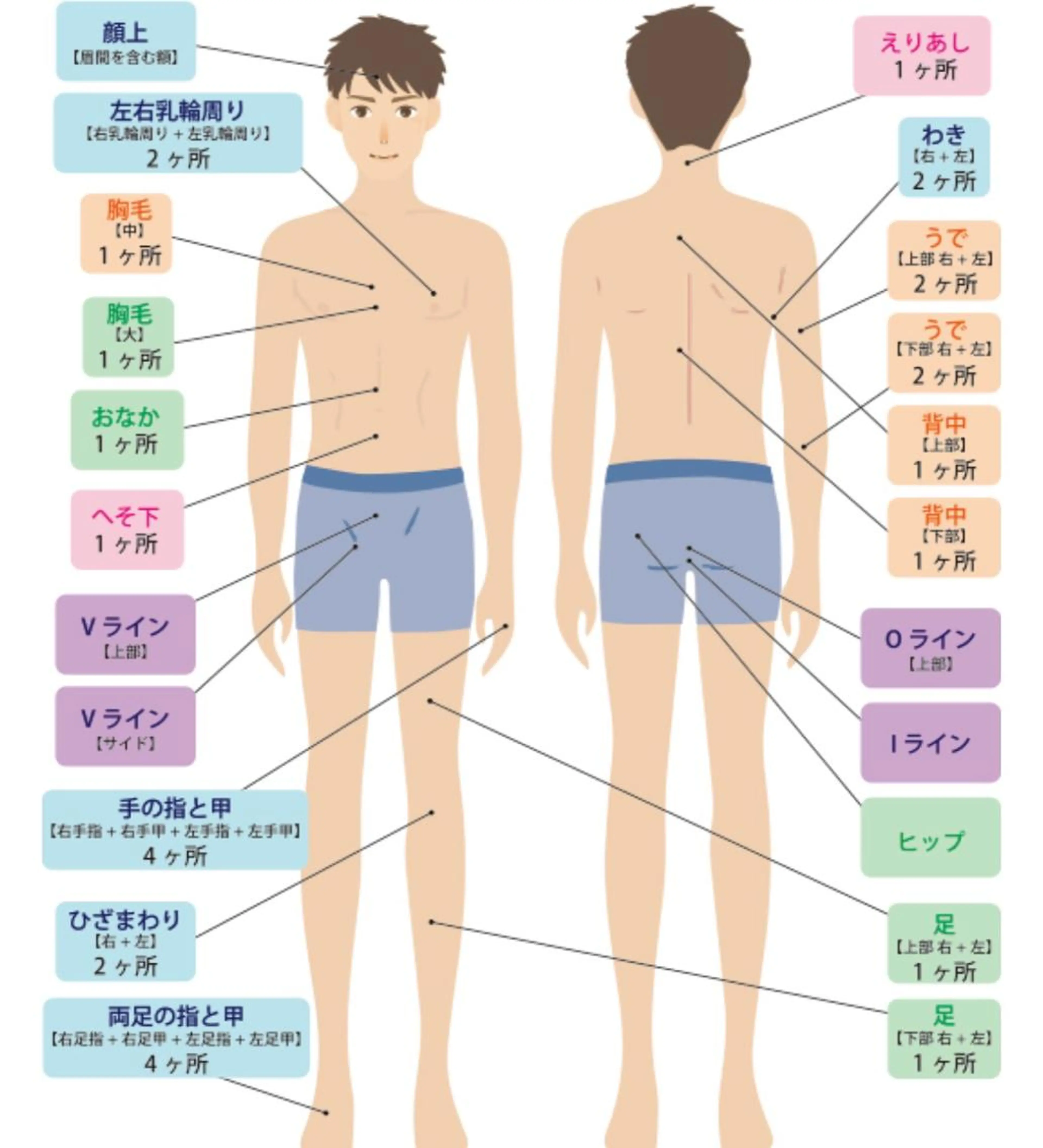 メンズ脱毛🚹全身脱毛　ヒゲあり　高性能マシン使用で早い痛くない脱毛可能　濃い毛も効果的にやっつけます‼️の写真