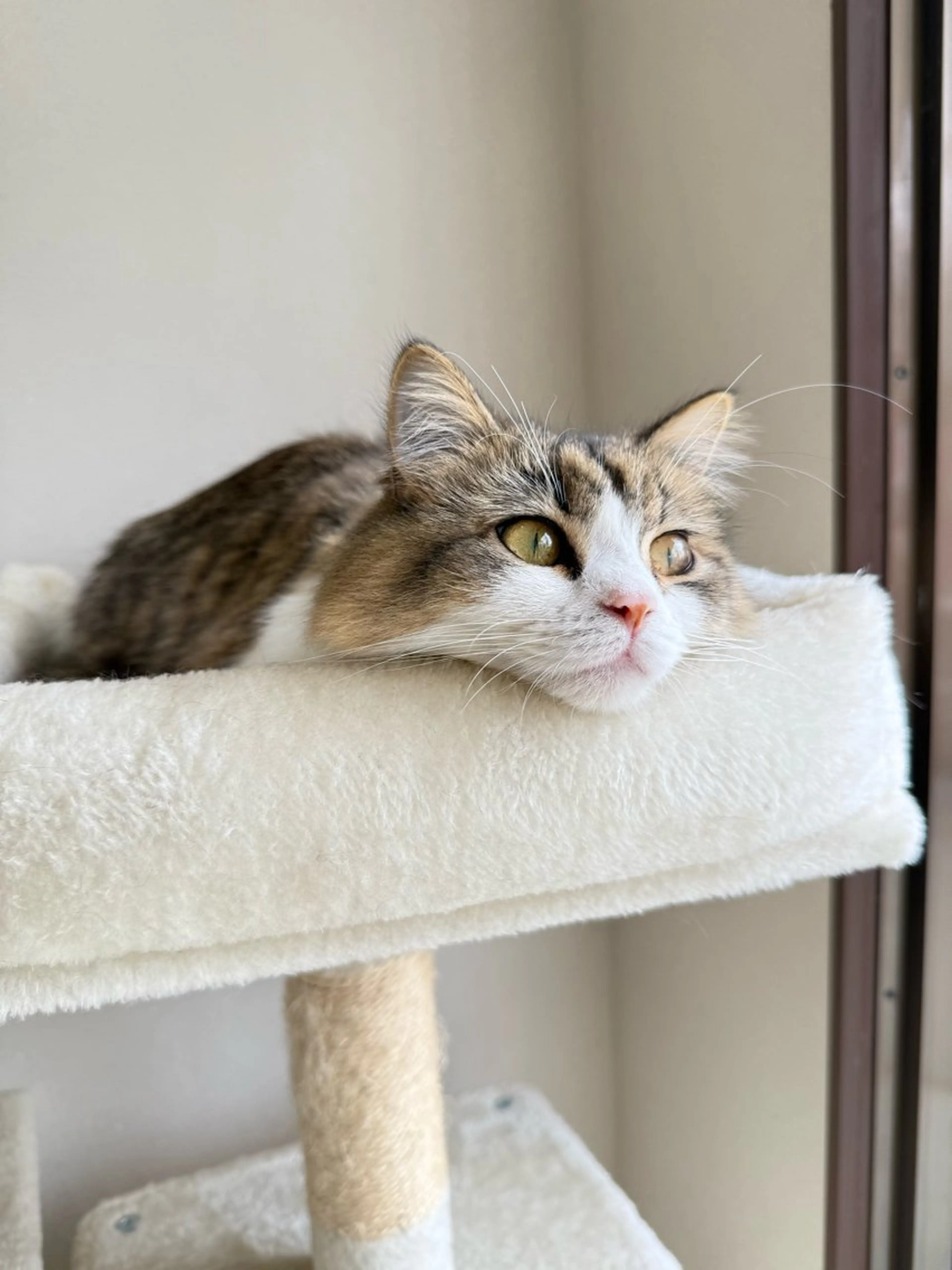 清水 茜音のその他イメージ