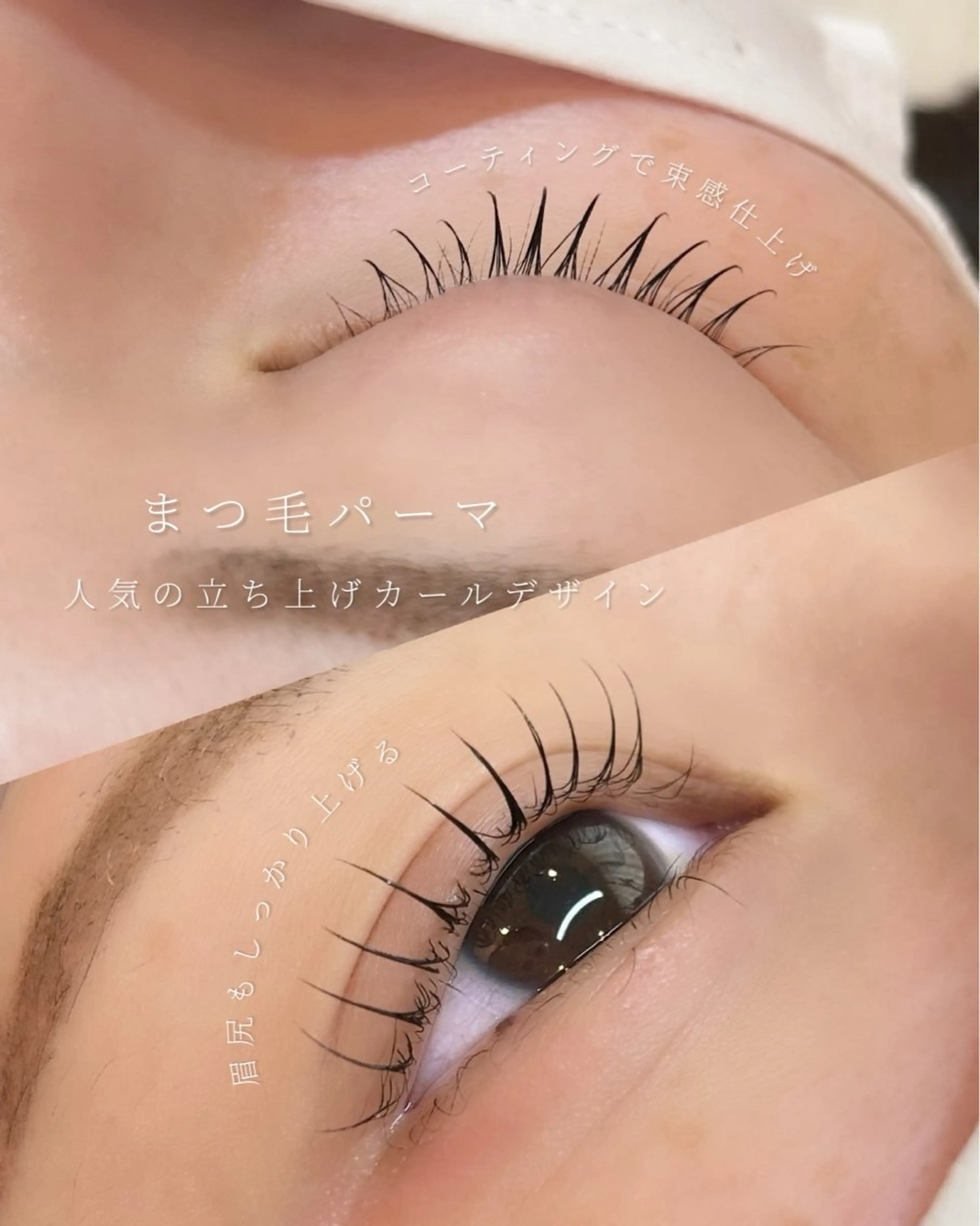 モニター価格 まつげパーマ(トリートメント、コーティング付)の写真