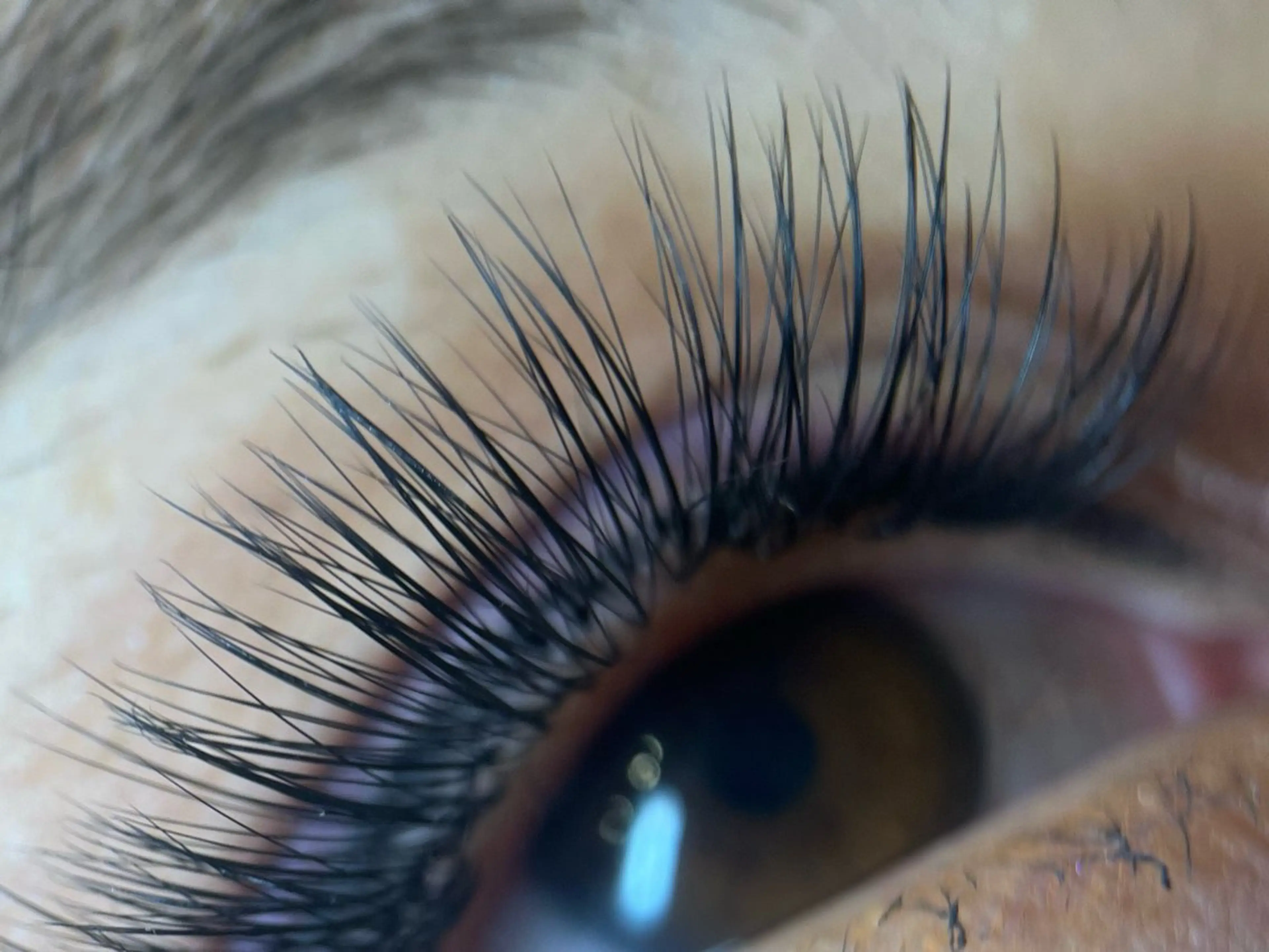 マツエク・マツパ フラットラッシュ ボリュームラッシュ mzh ...のネイルデザイン