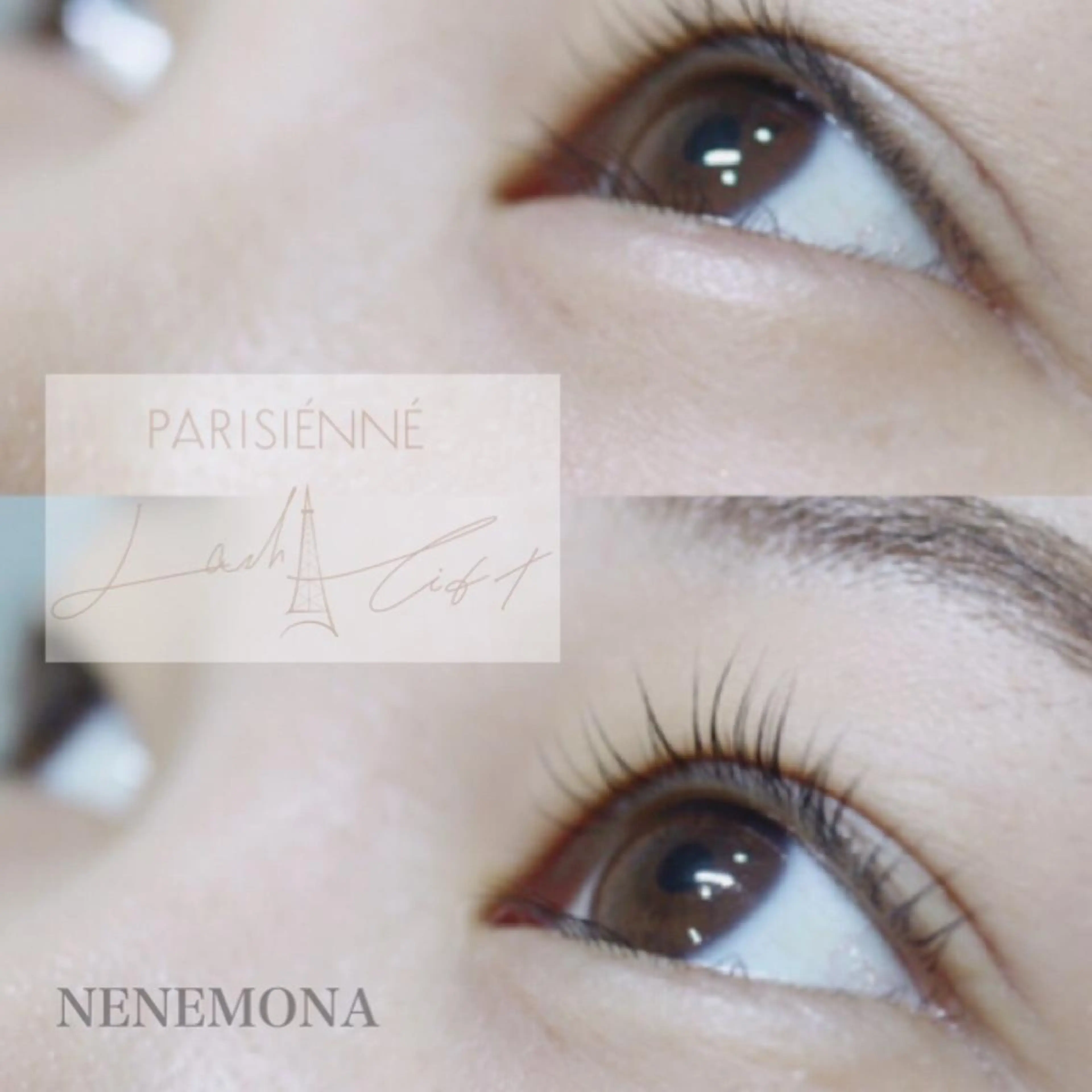 マツエク・マツパ パリジェンヌラッシュリフト マツパ emirai eyelash&eyebrow所属・emirai🌟 MOMOのマツエク・マツパデザイン