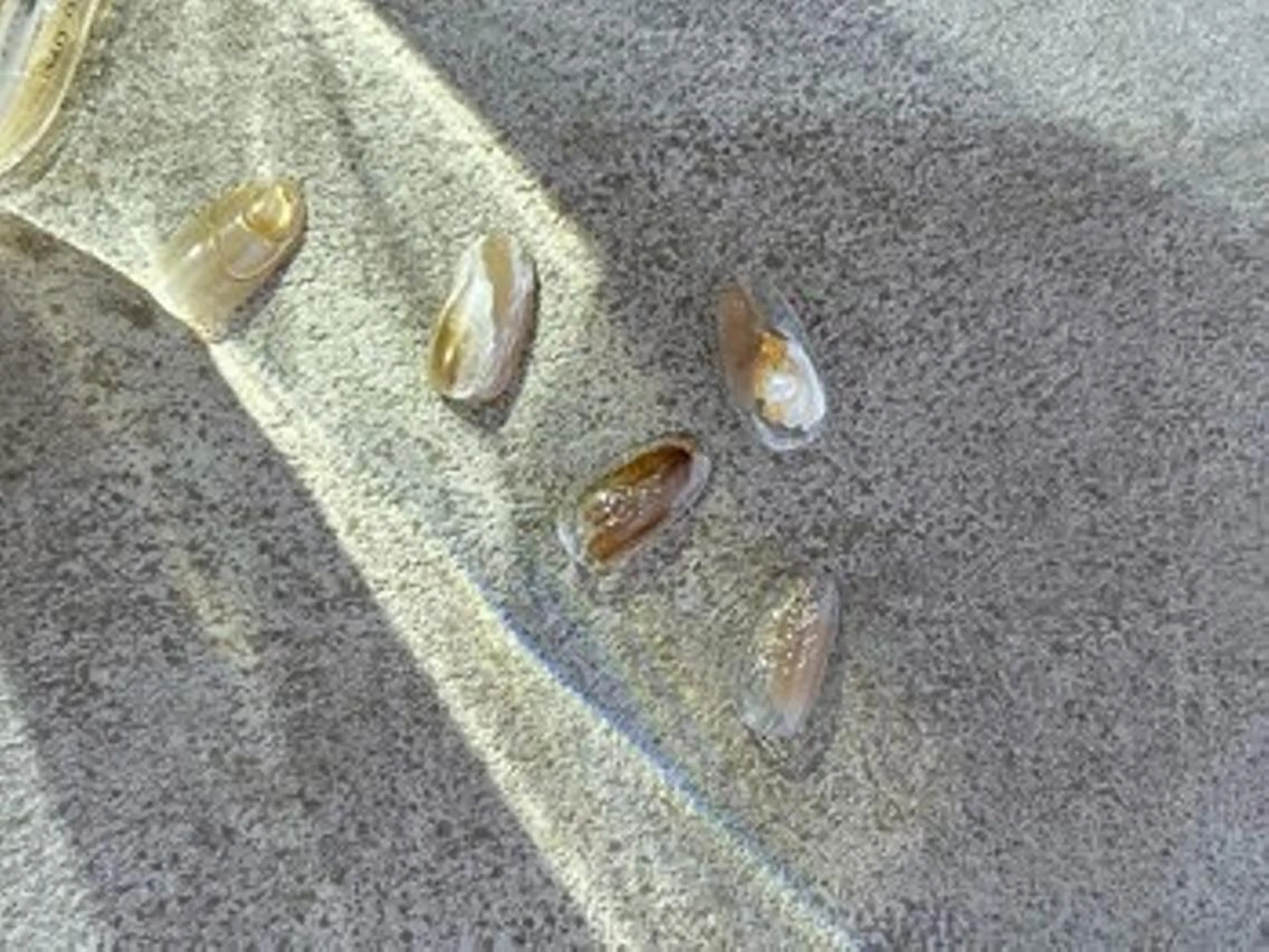 ネイル Demi 武蔵浦和店のネイルデザイン