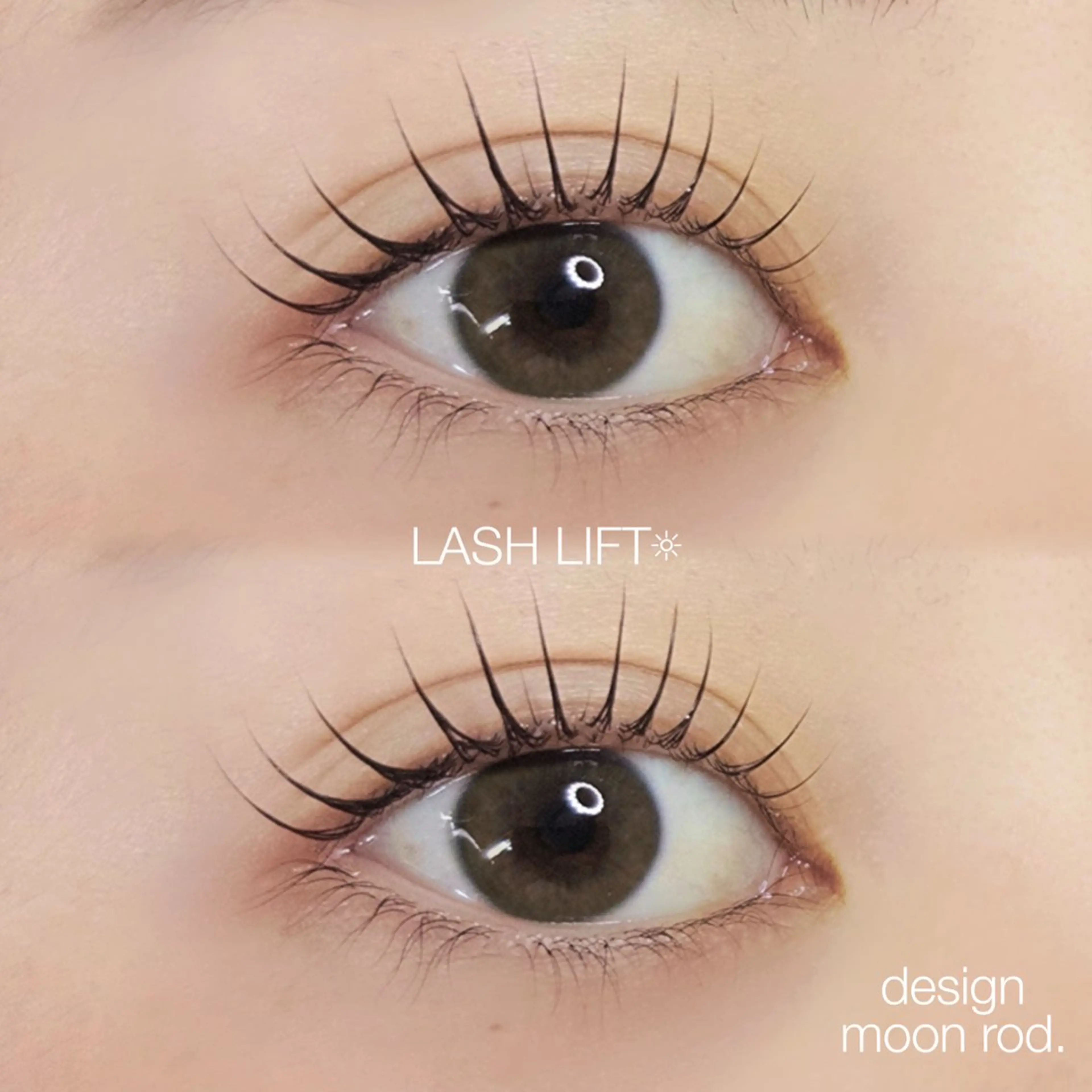 【ご新規様限定✨】🎀パーソナル　ラッシュリフト🎀　当日予約okです🫧の写真