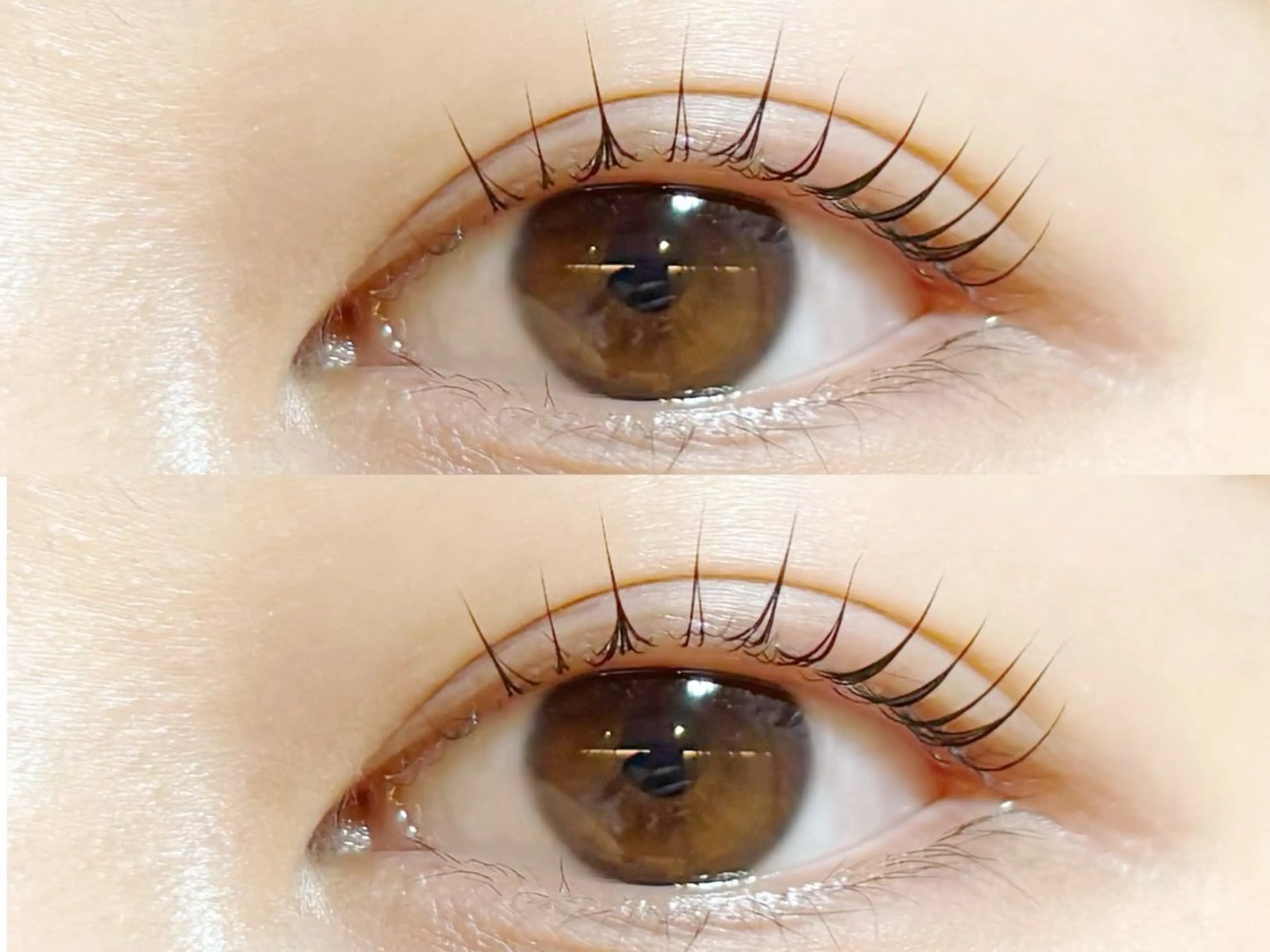 ãããšã¯ã»ããã ããªãžã§ã³ãã©ãã·ã¥ãªãã TOP æåŠ»ã®ãããšã¯ã»ããããã¶ã€ã³