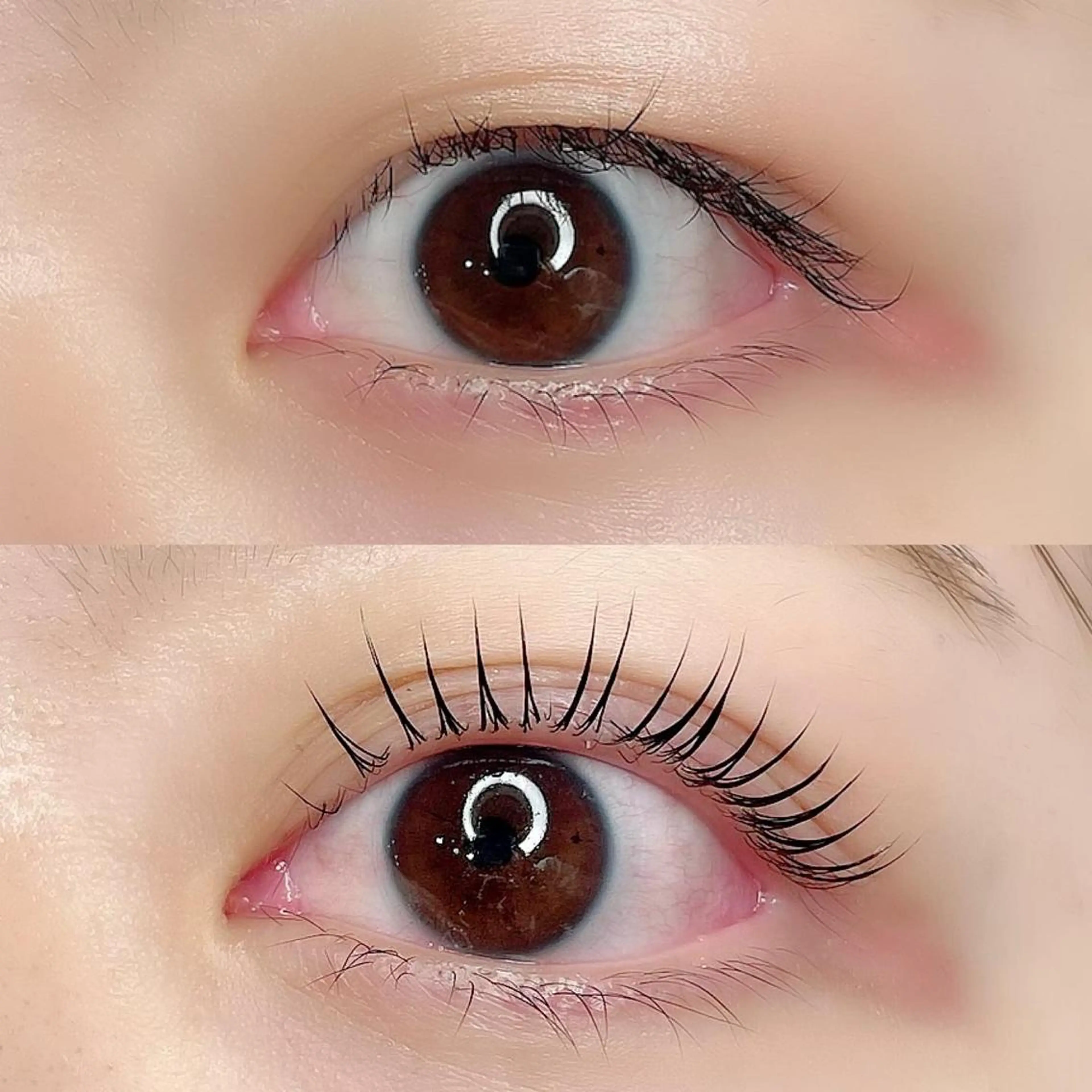 マツエク・マツパ iu.(イユドット)所属・🤍二条城北iu. /IKUHOのマツエク・マツパデザイン