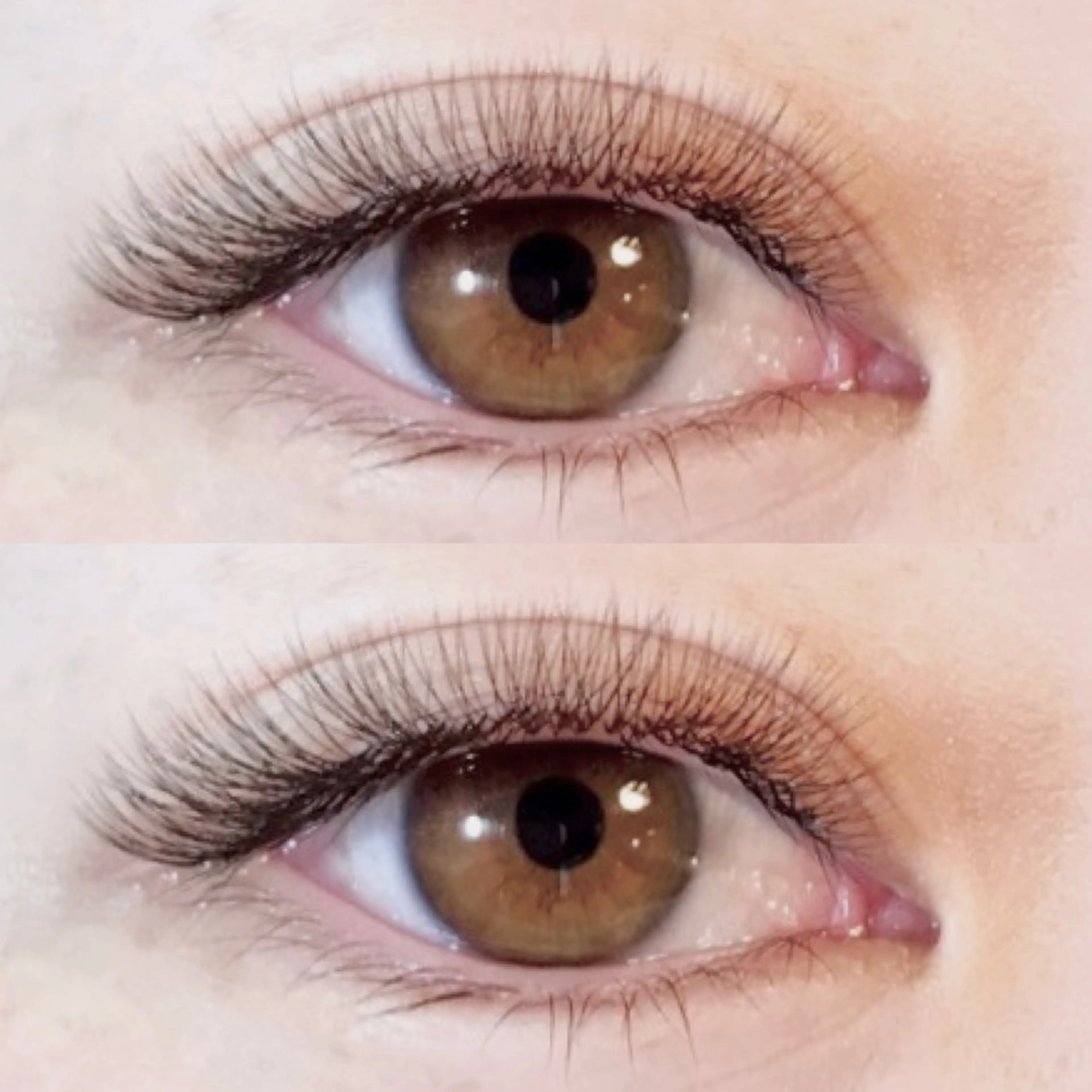 《濃密仕上げ✨》ボリュームラッシュ80束（240本）の写真