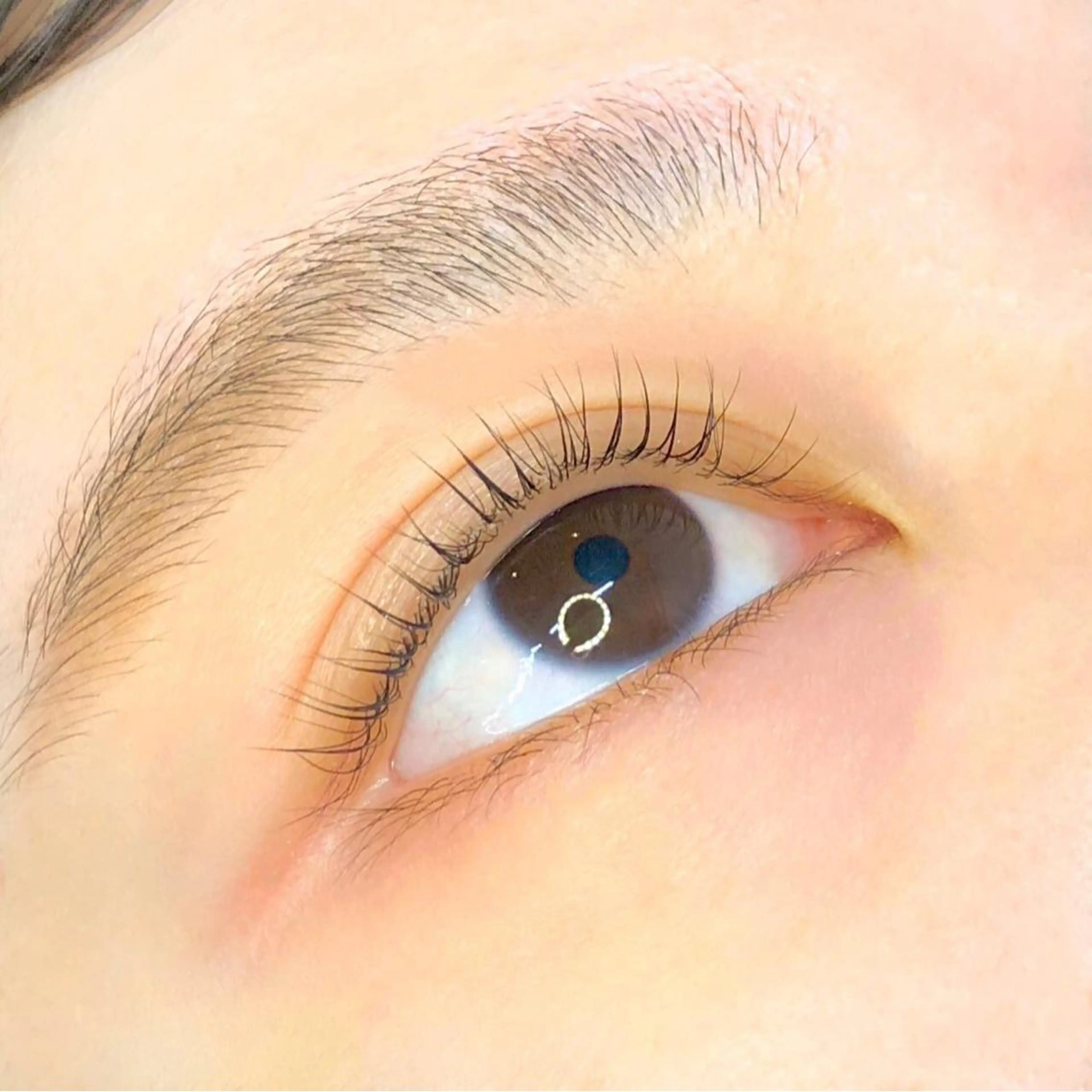 マツエク・マツパ モデル募集 新川のマツエク・マツパデザイン