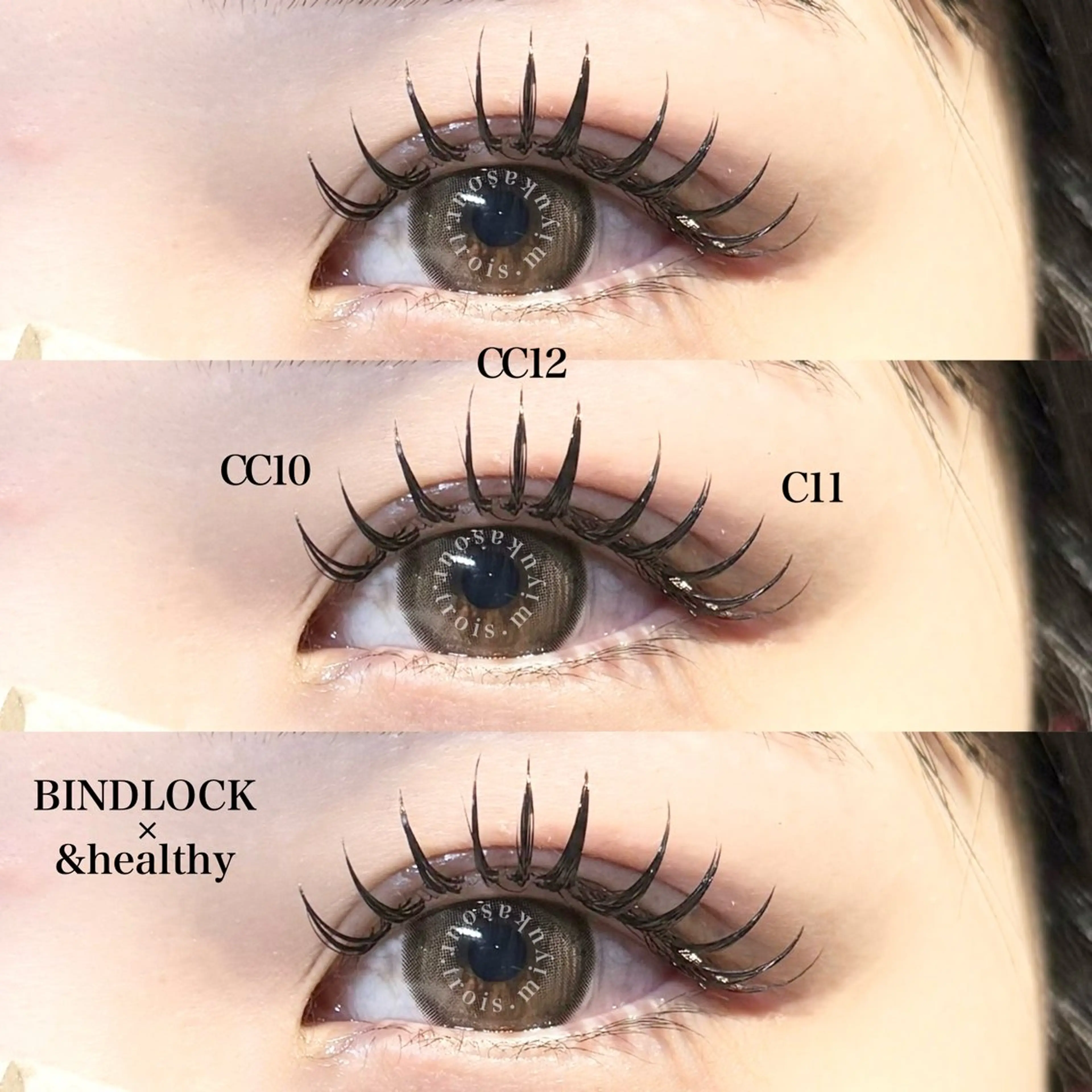 バインドロック160束の写真