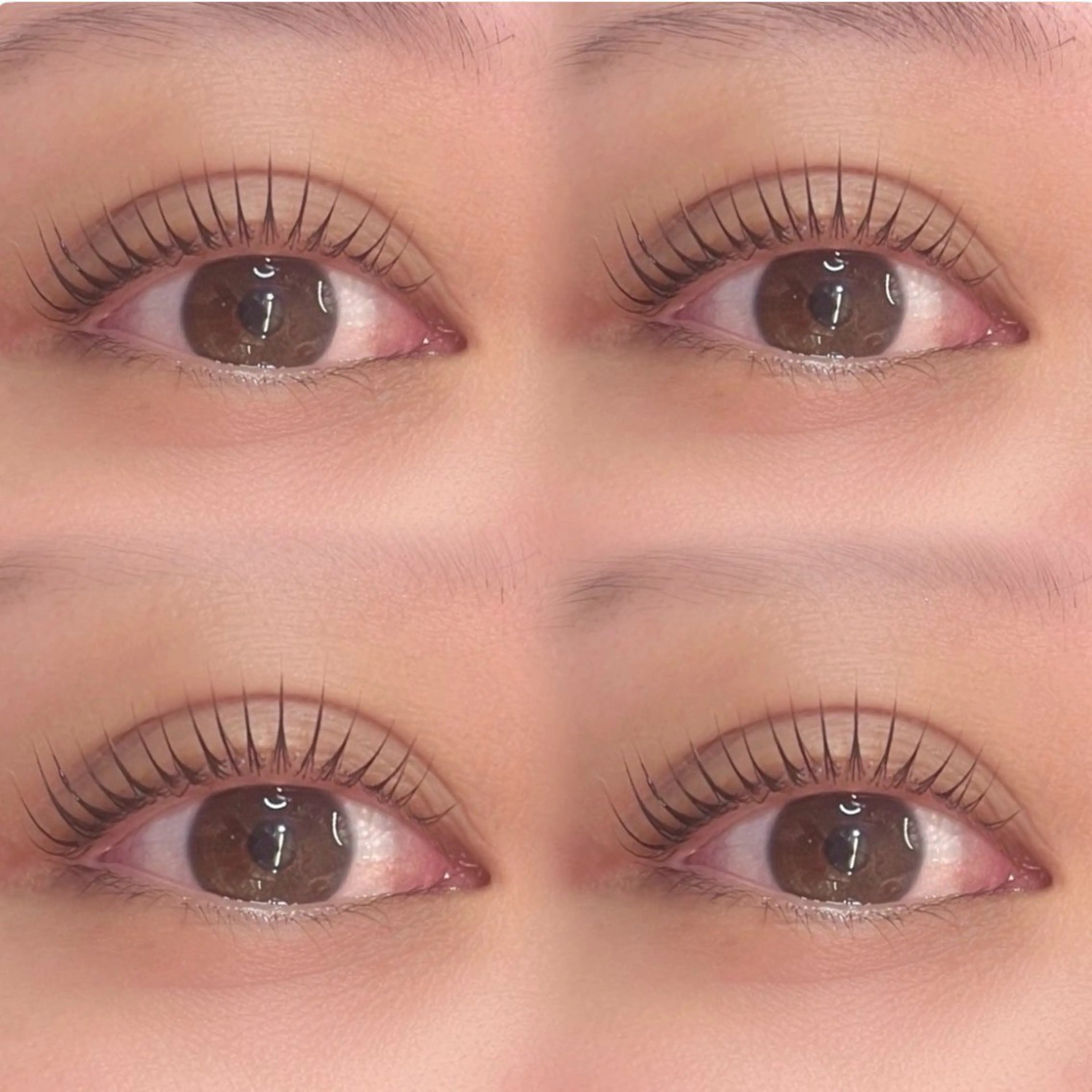 マツエク・マツパ パリジェンヌラッシュリフト まつげパーマ マツパ fein.Ruka ♡垢抜け美眉のマツエク・マツパデザイン