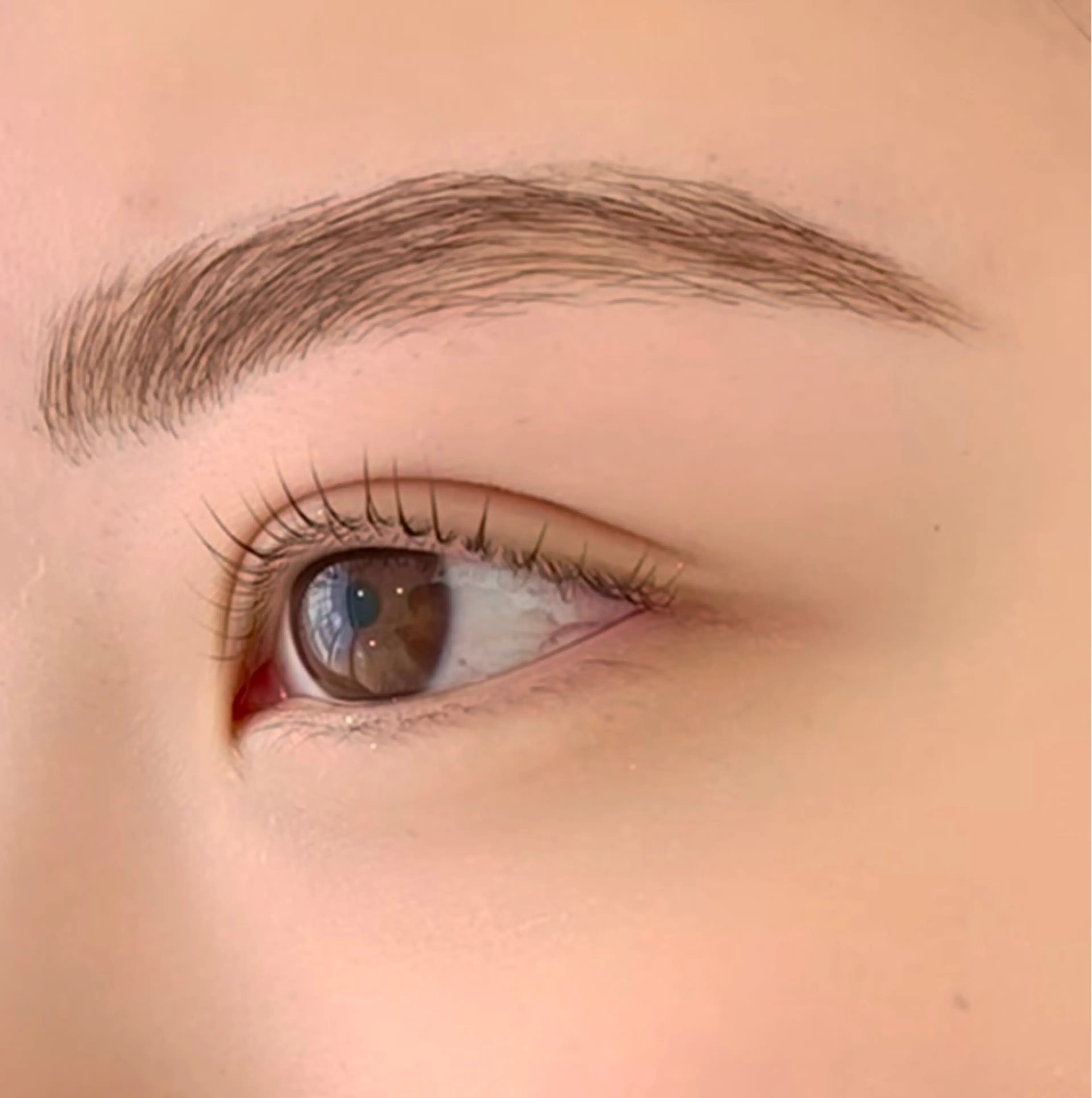 選べるデザイン🐷パリジェンヌラッシュリフトorラッシュリフトの写真