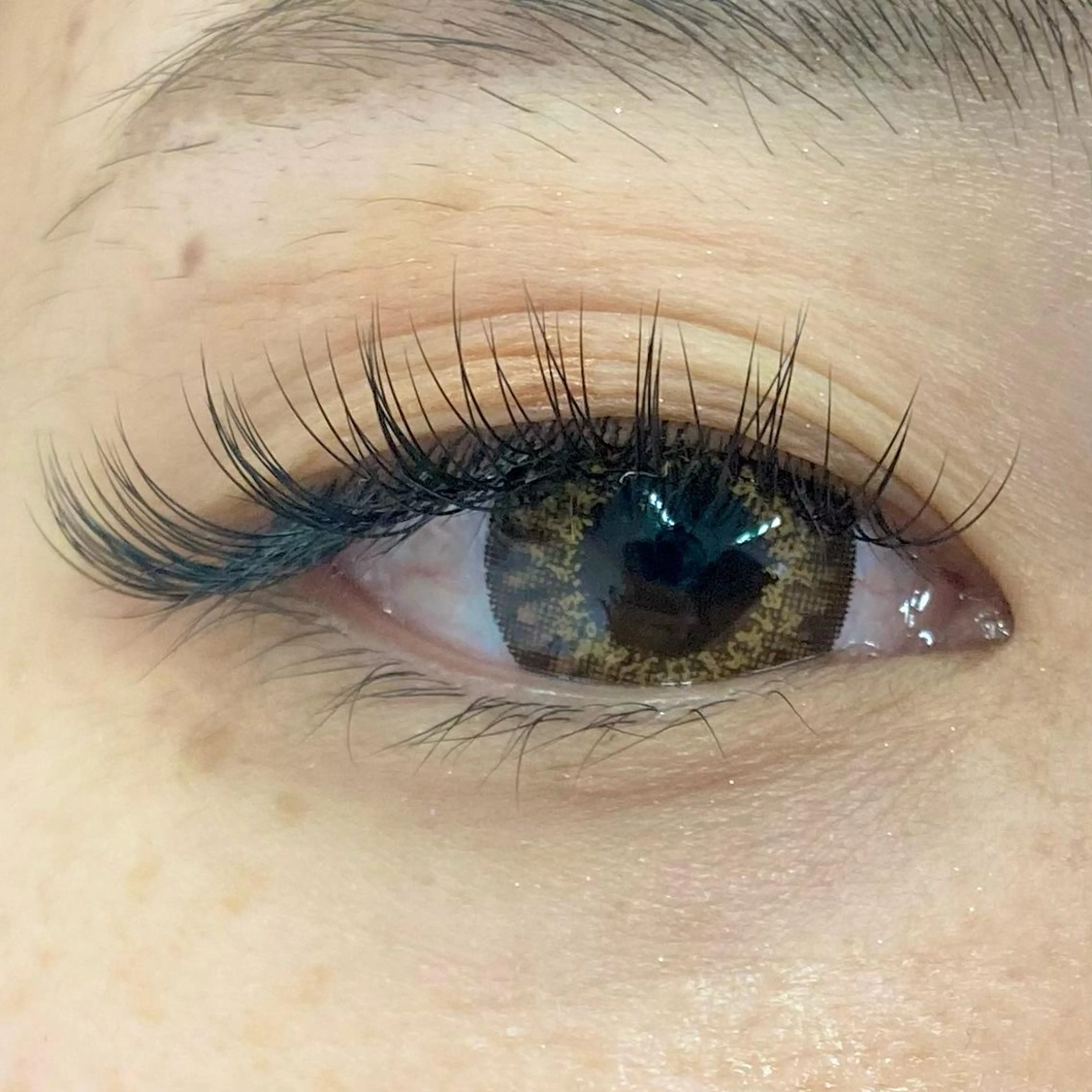 マツエク・マツパ Dカール マツエク THE BALM🐦 橋本♪のマツエク・マツパデザイン