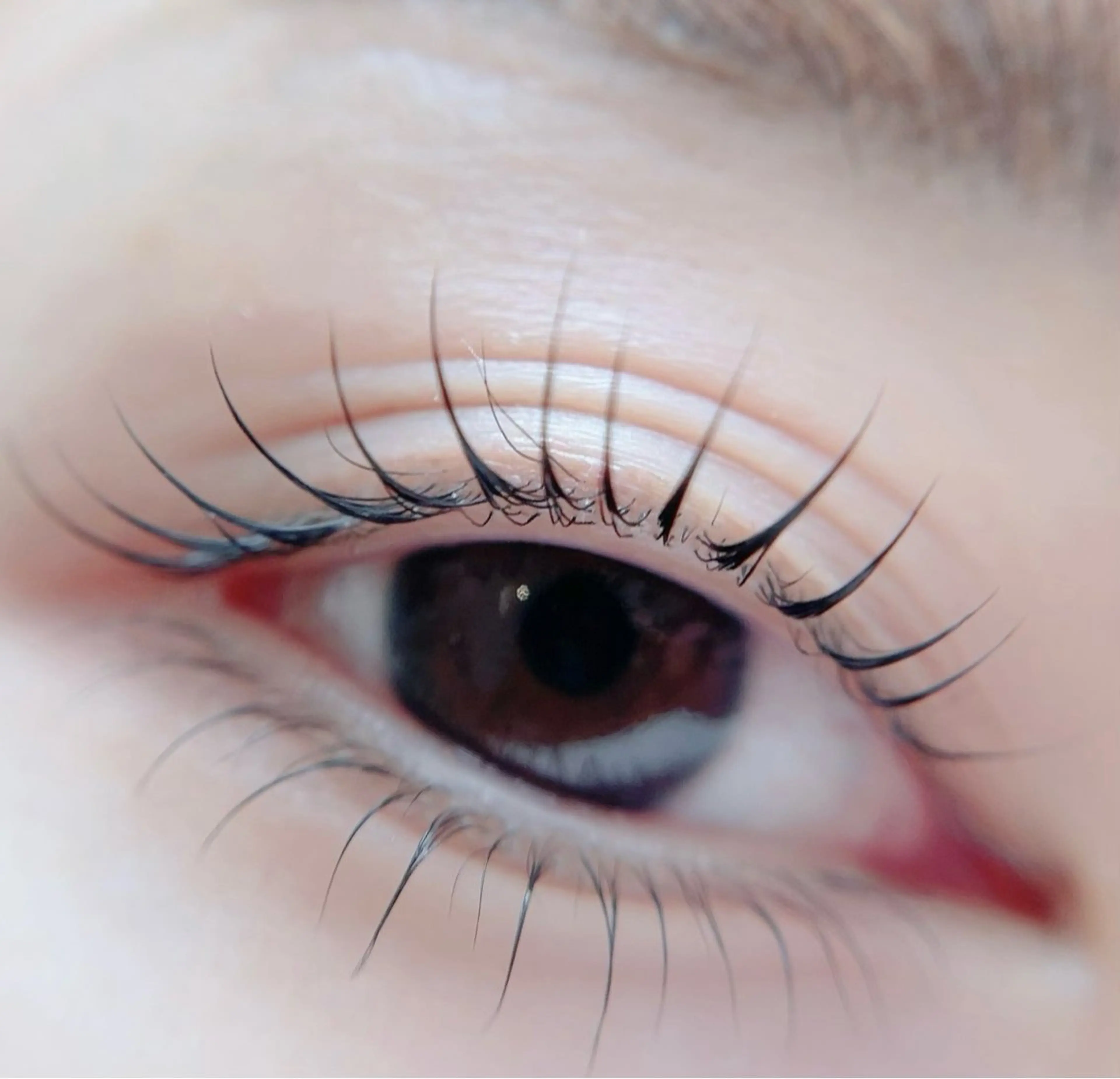 マツエク・マツパ Maile leaf 【マイレリーフ】のマツエク・マツパデザイン