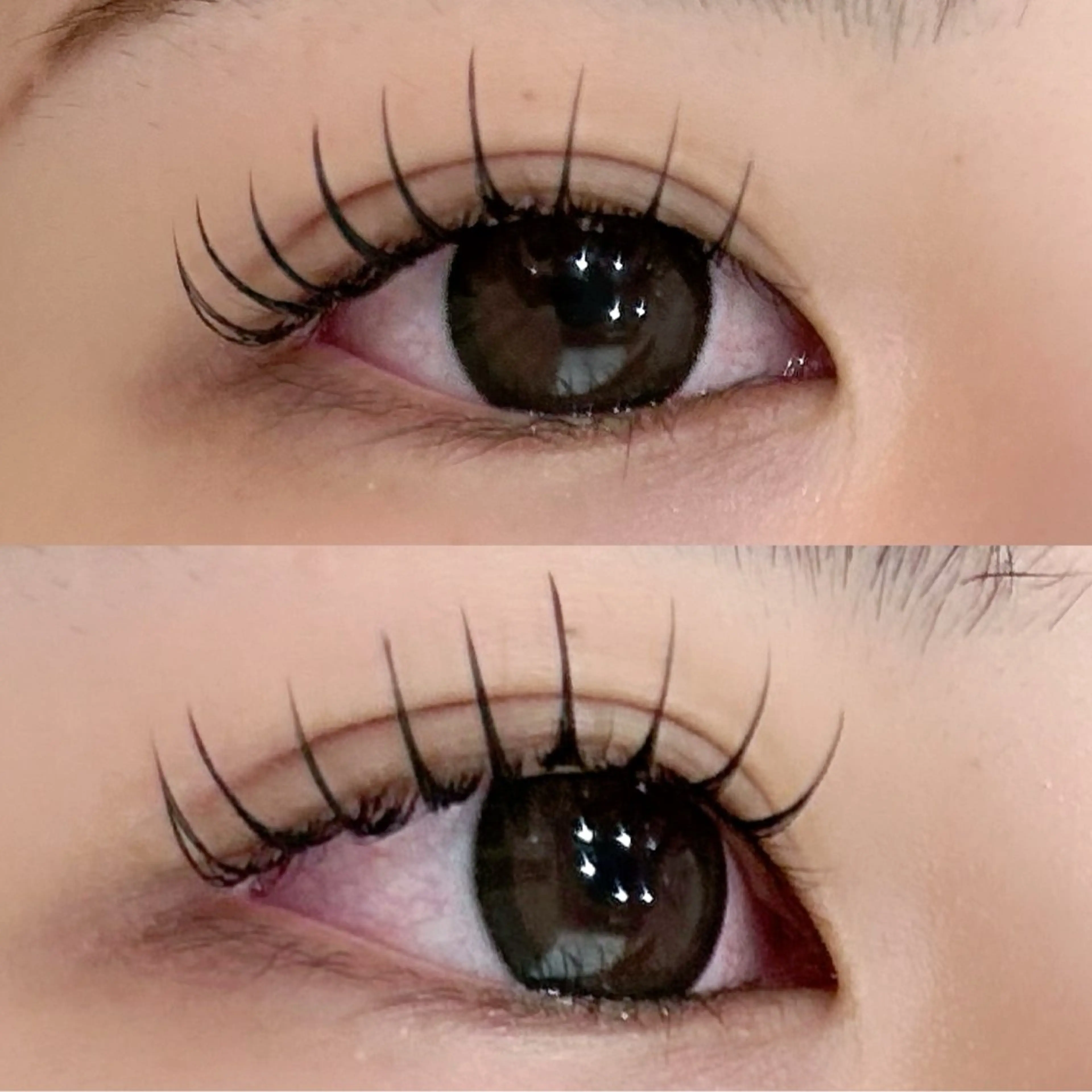 マツエク・マツパ KIMOTO 🐈‍⬛🤍のマツエク・マツパデザイン