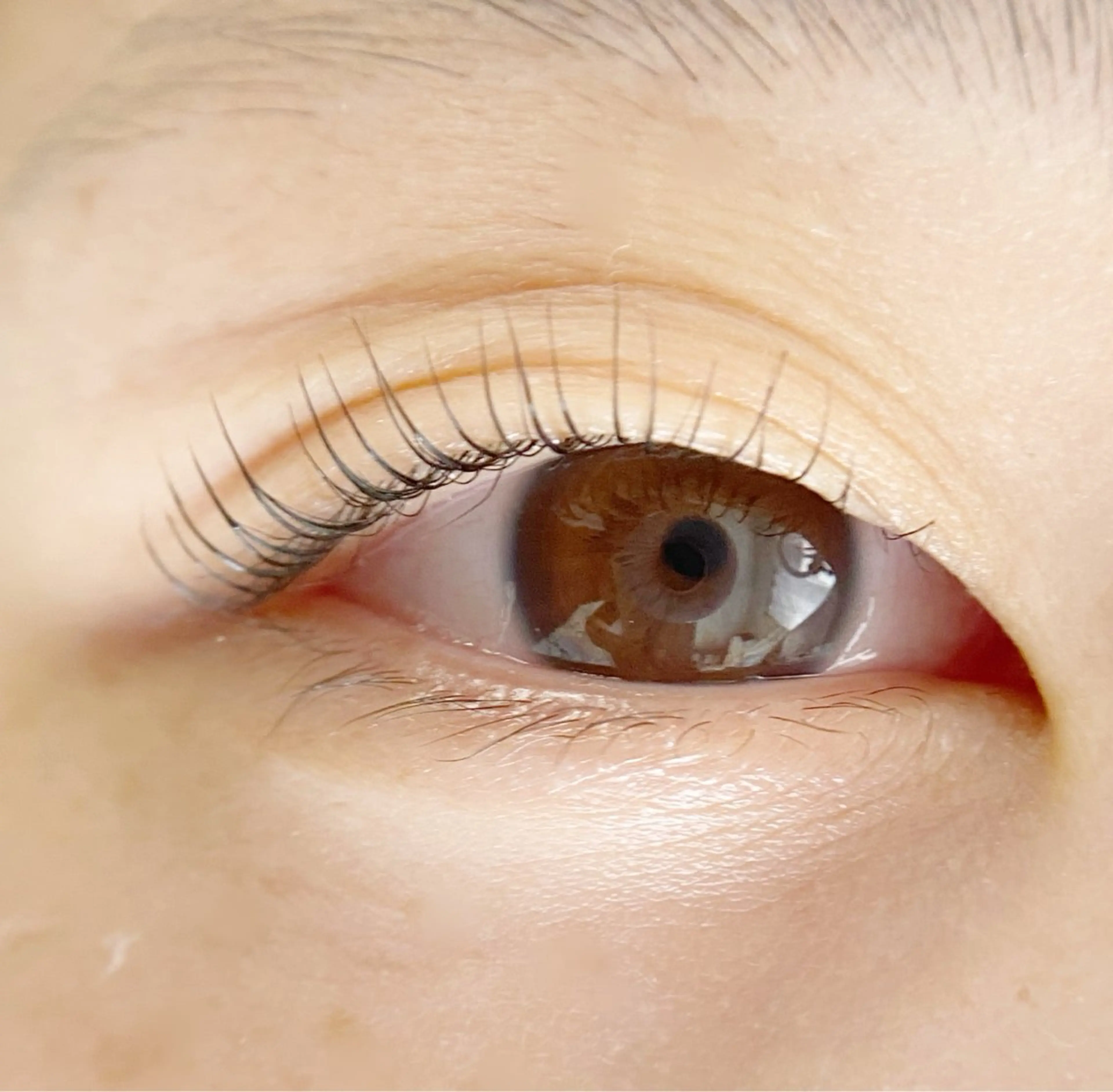 マツエク・マツパ カンビ アールのマツエク・マツパデザイン