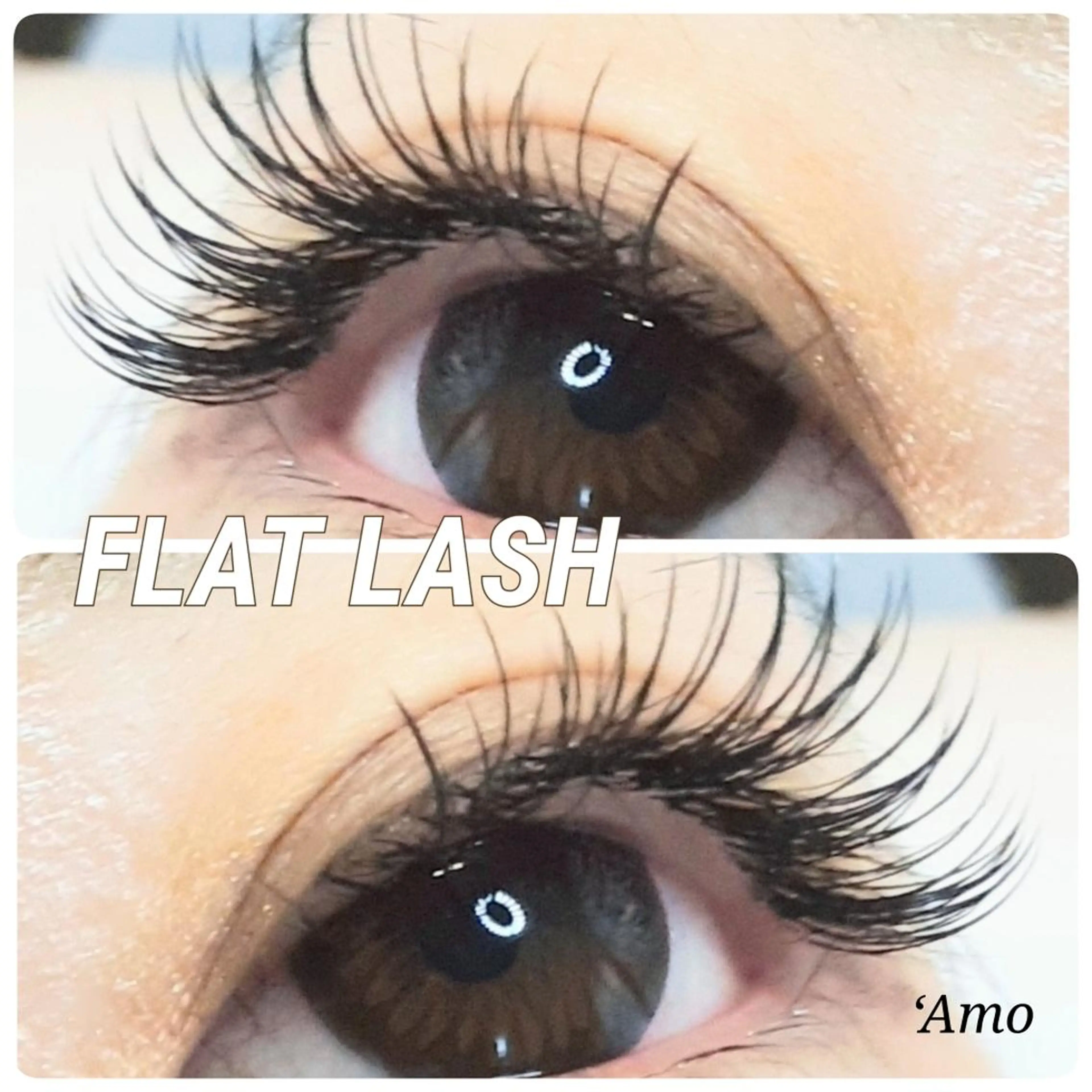 マツエク・マツパ キュート フラットラッシュ セクシー マツエク ‘Amo アモのマツエク・マツパデザイン