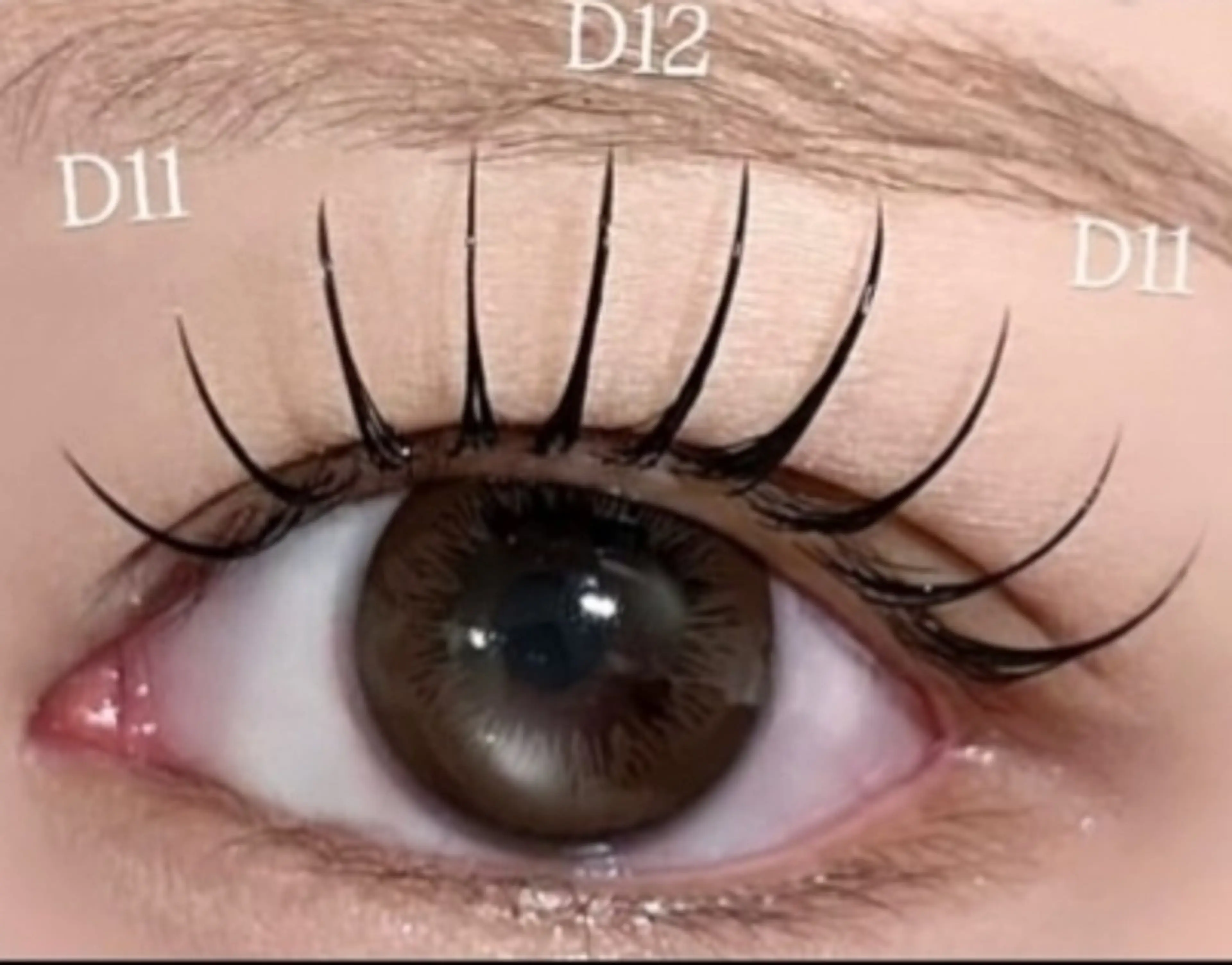 マツエク・マツパ SUN WENのマツエク・マツパデザイン