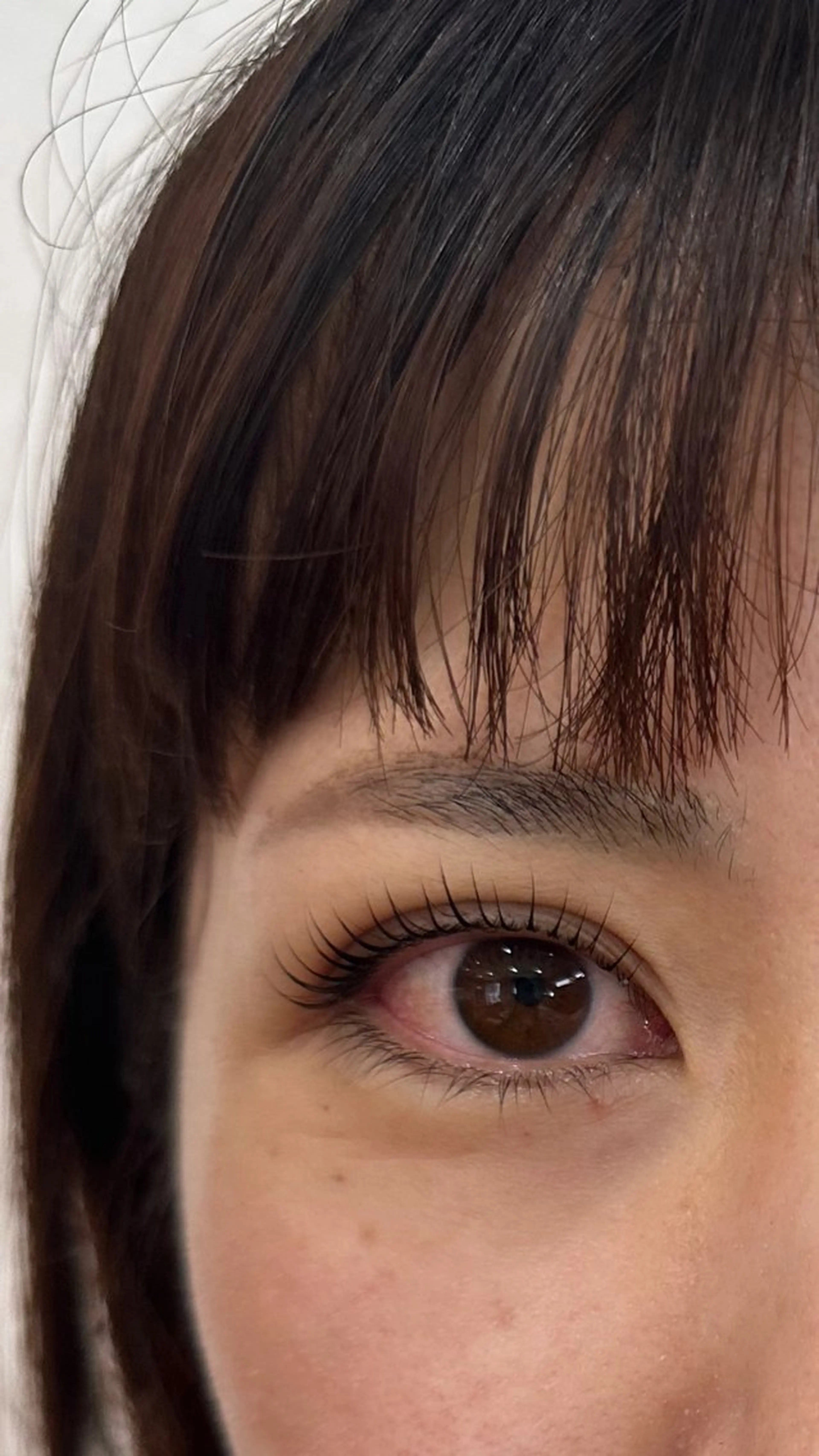 ラッシュリフトモニター（トリートメント、コーティング込み）の写真