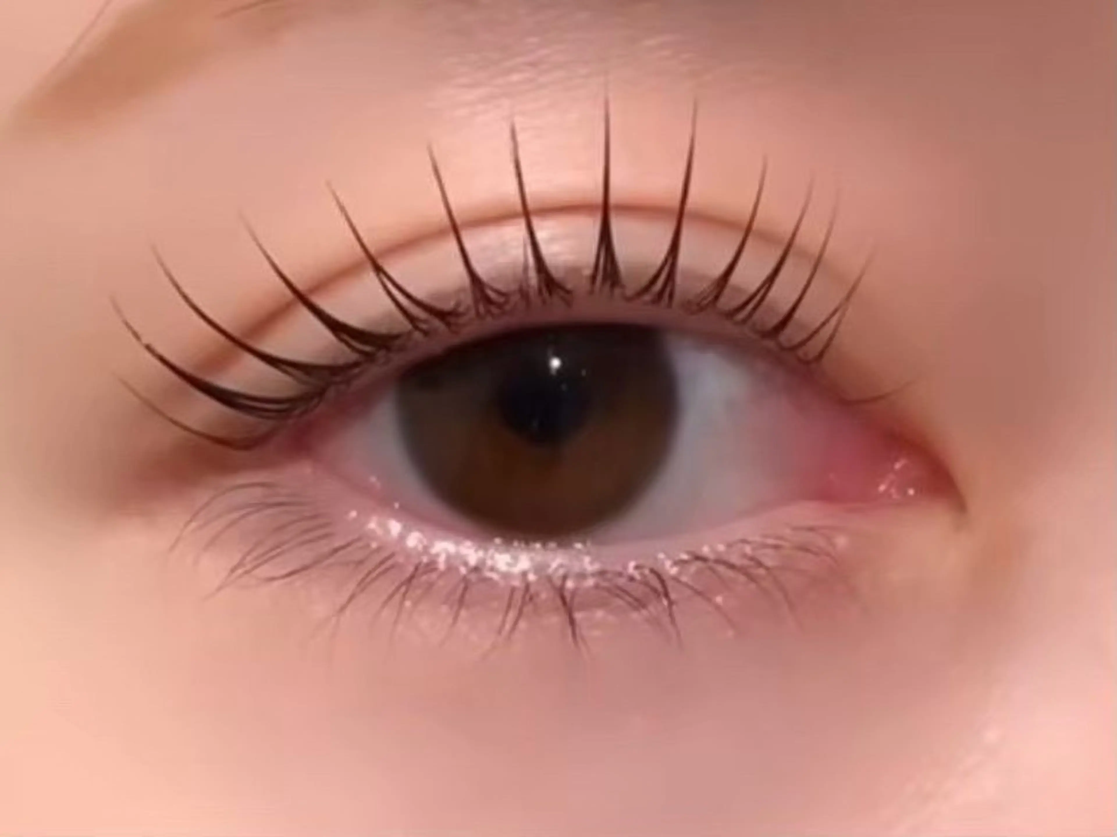 マツエク・マツパ 束感まつ毛 フラットラッシュ 韓国風マツエク ナチュラル パリジェンヌラッシュリフト KOHARU🫧✨️ /束感マツエク/梅田のヘアスタイル