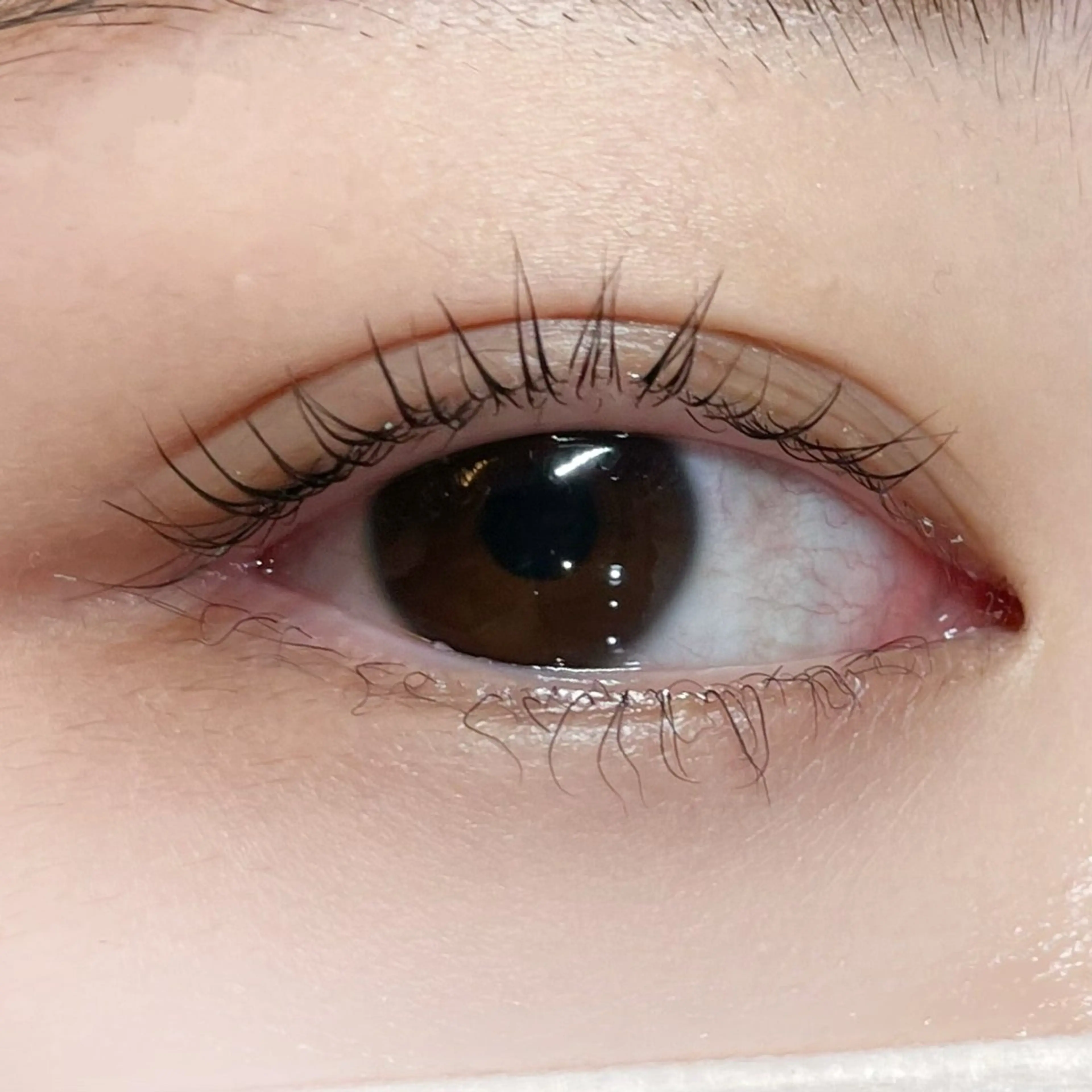 マツエク・マツパ マツパ 櫻井 怜華のマツエク・マツパデザイン