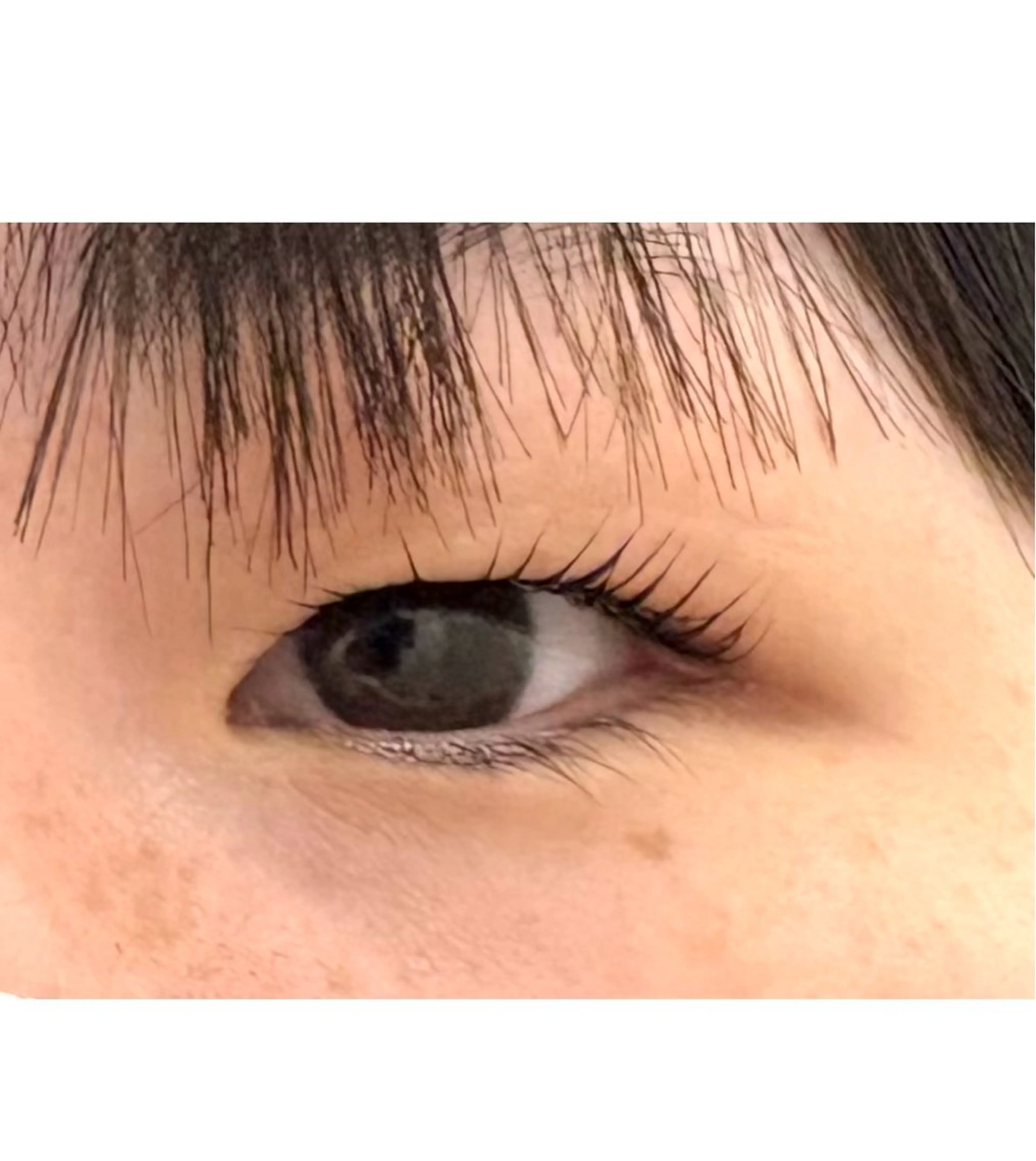 マツエク・マツパ 🎀モデル募集中/ ミウ🦊のマツエク・マツパデザイン