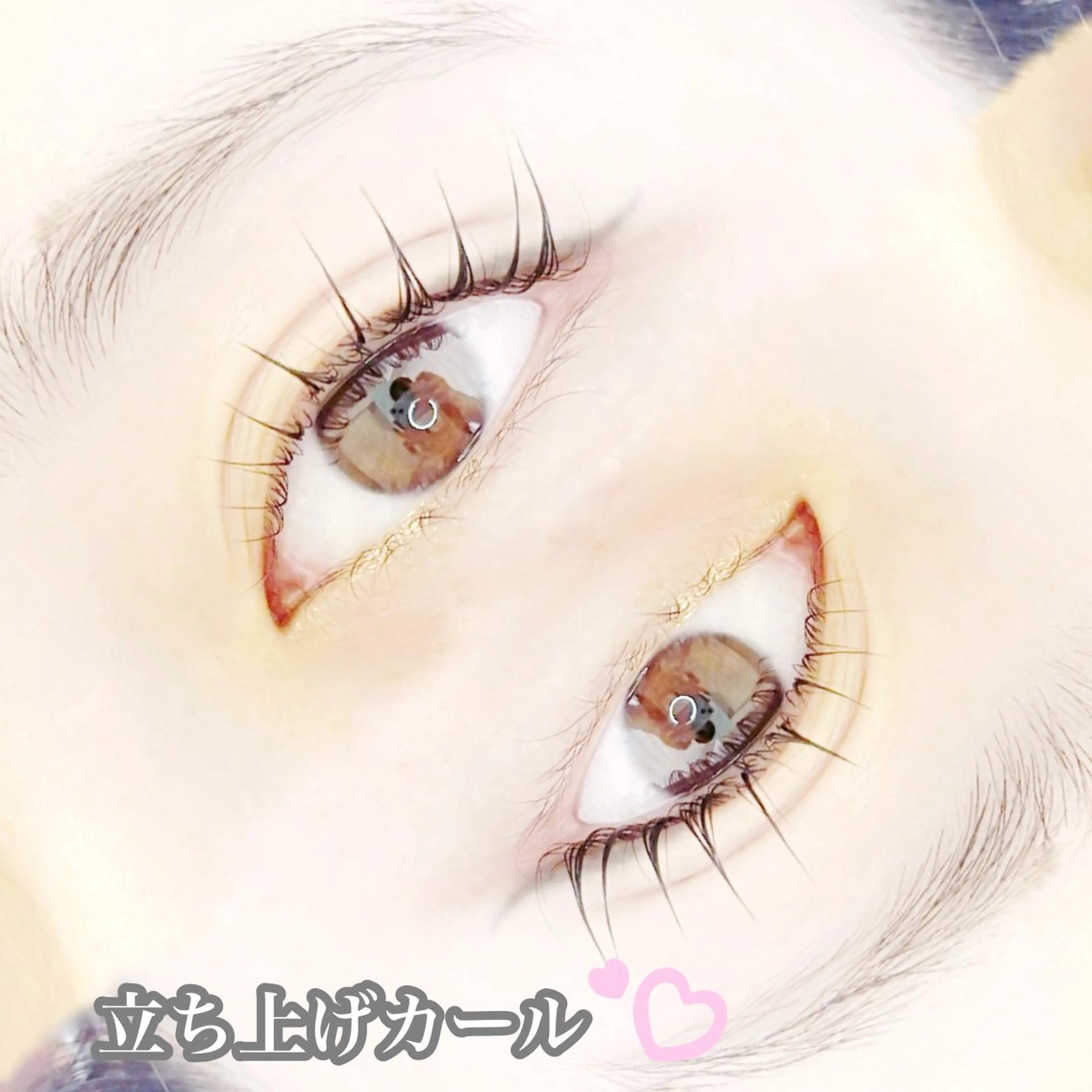 マツエク・マツパ パリジェンヌラッシュリフト PLATINUM DOLL yunaのマツエク・マツパデザイン