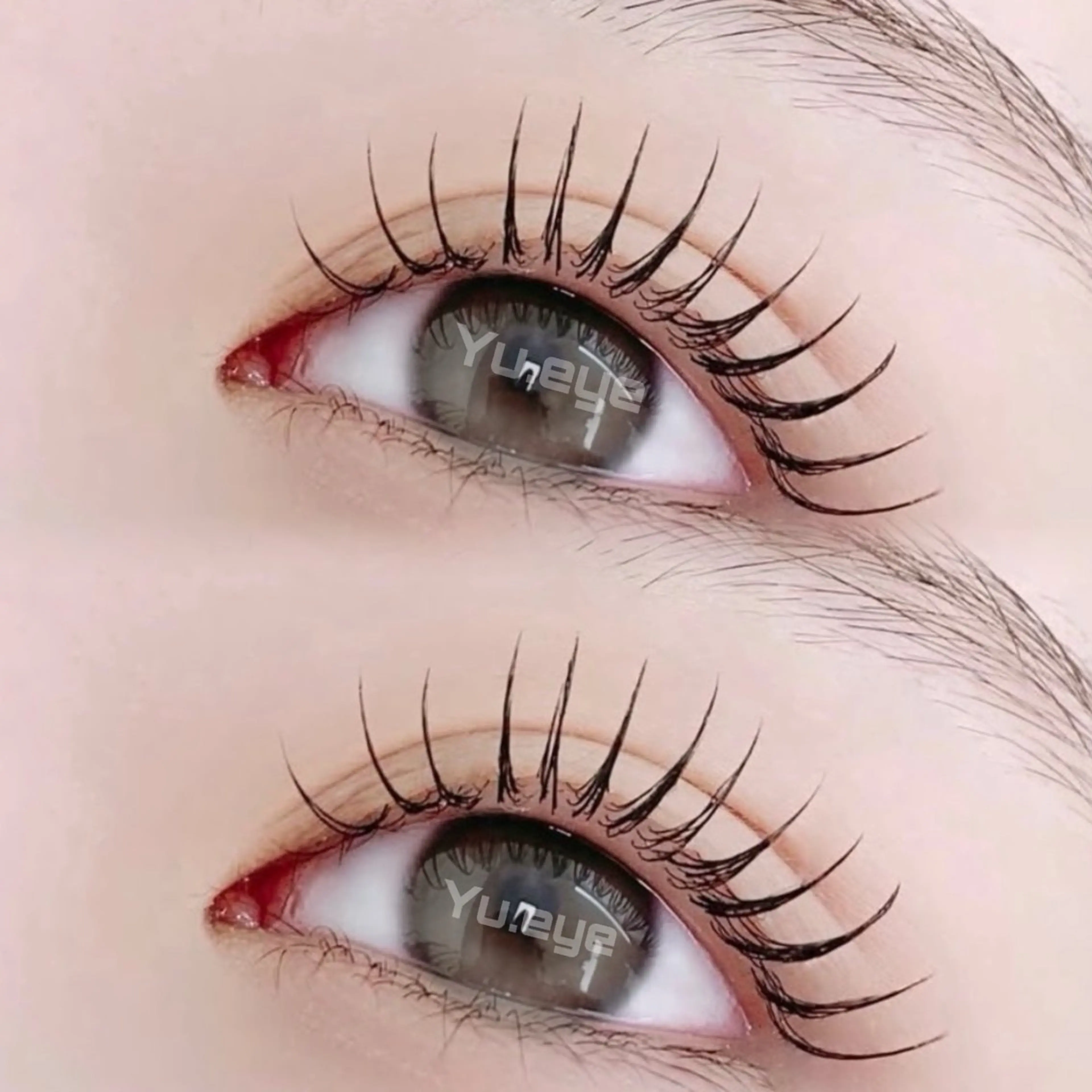 フラットラッシュ100本　¥5,500の写真