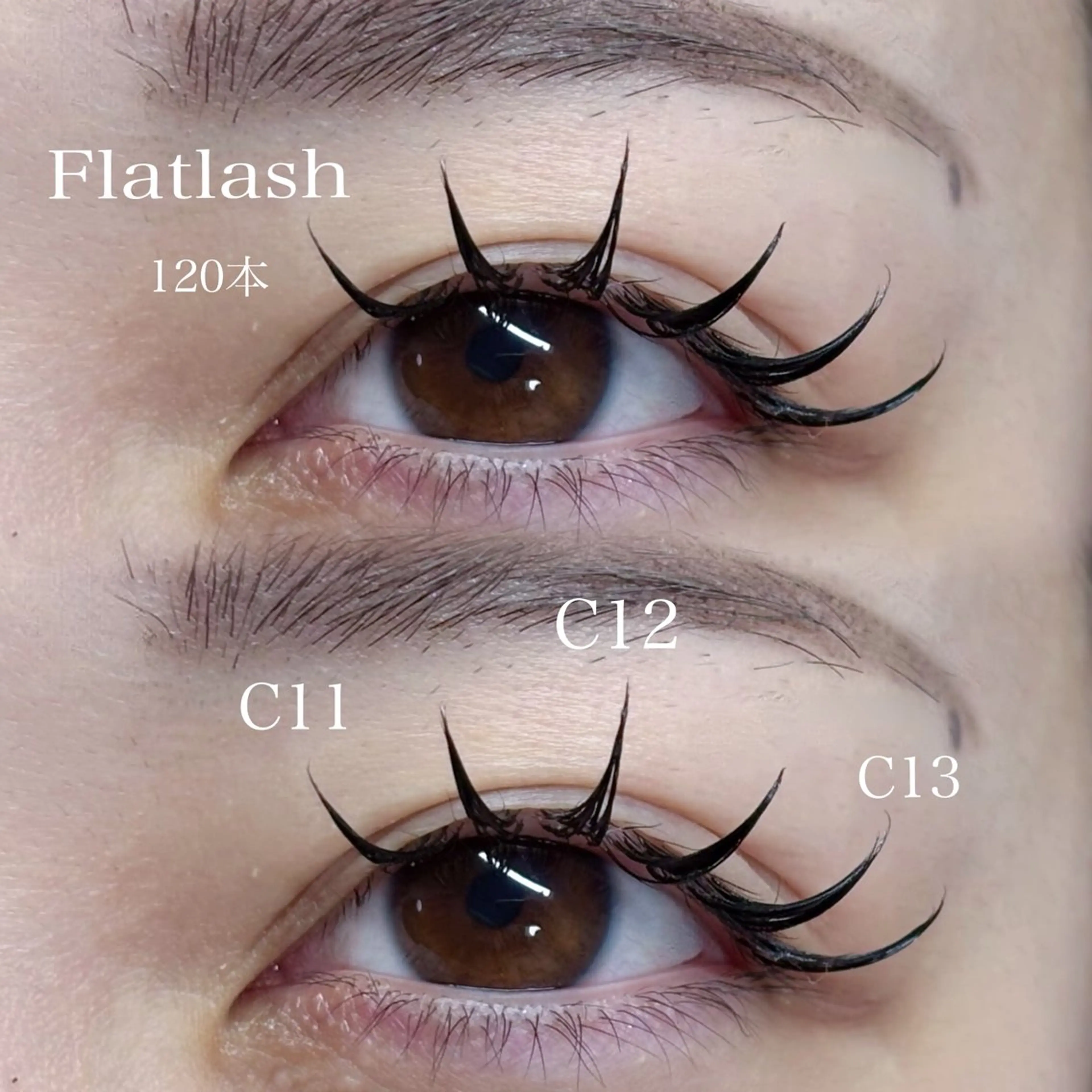 シングル120本🪽‪【フラット＋550円】の写真