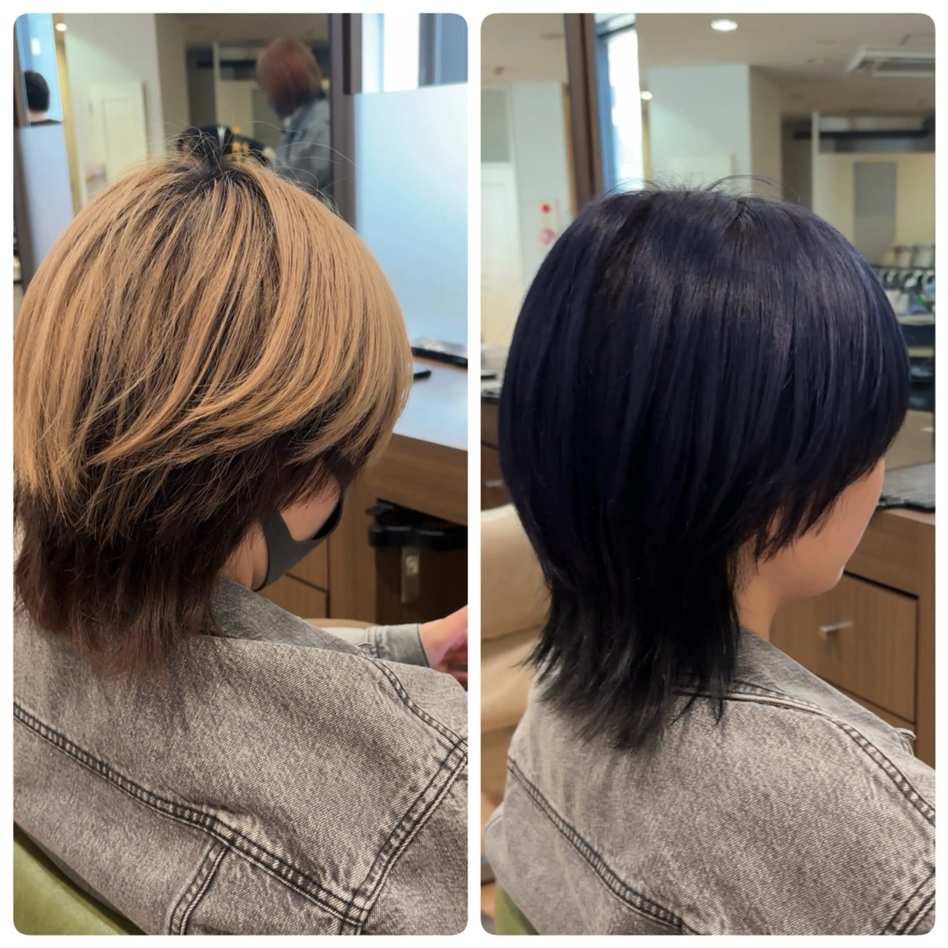 ショート カラー 黒髪 ブルーカラー CONAN｜盛岡ボブ 特化/タッセルボブのヘアスタイル