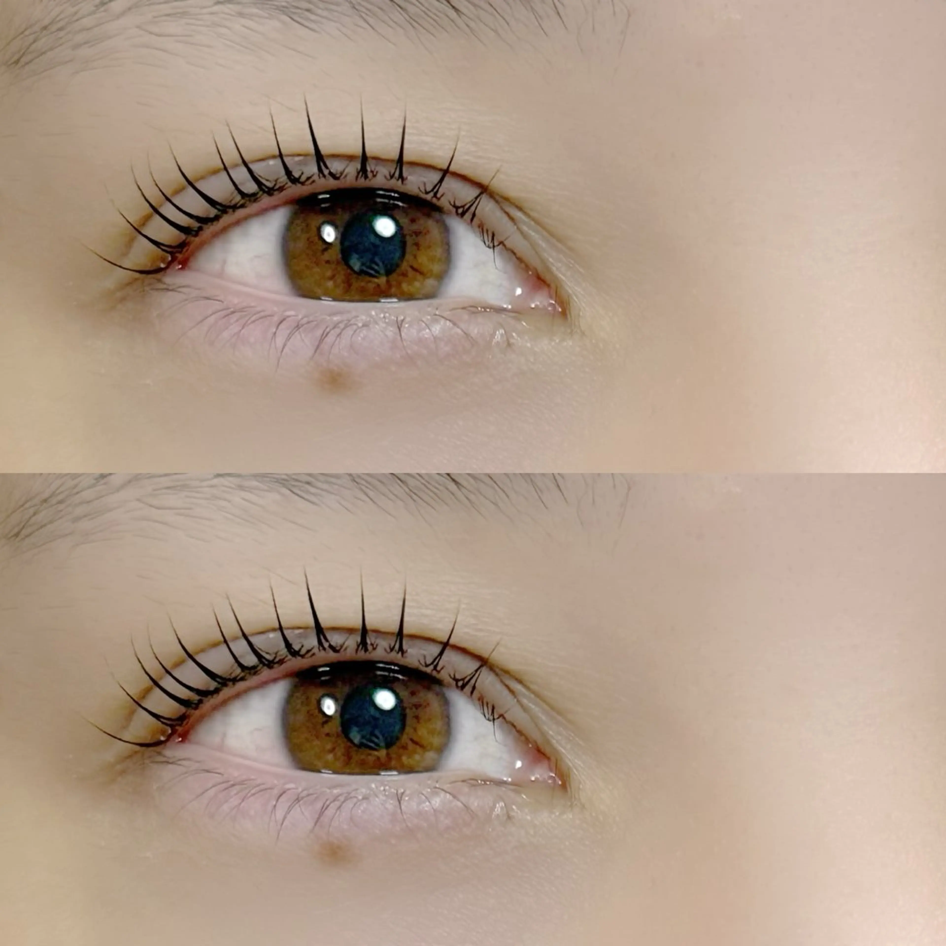 マツエク・マツパ マツパ Eyelash 003のマツエク・マツパデザイン