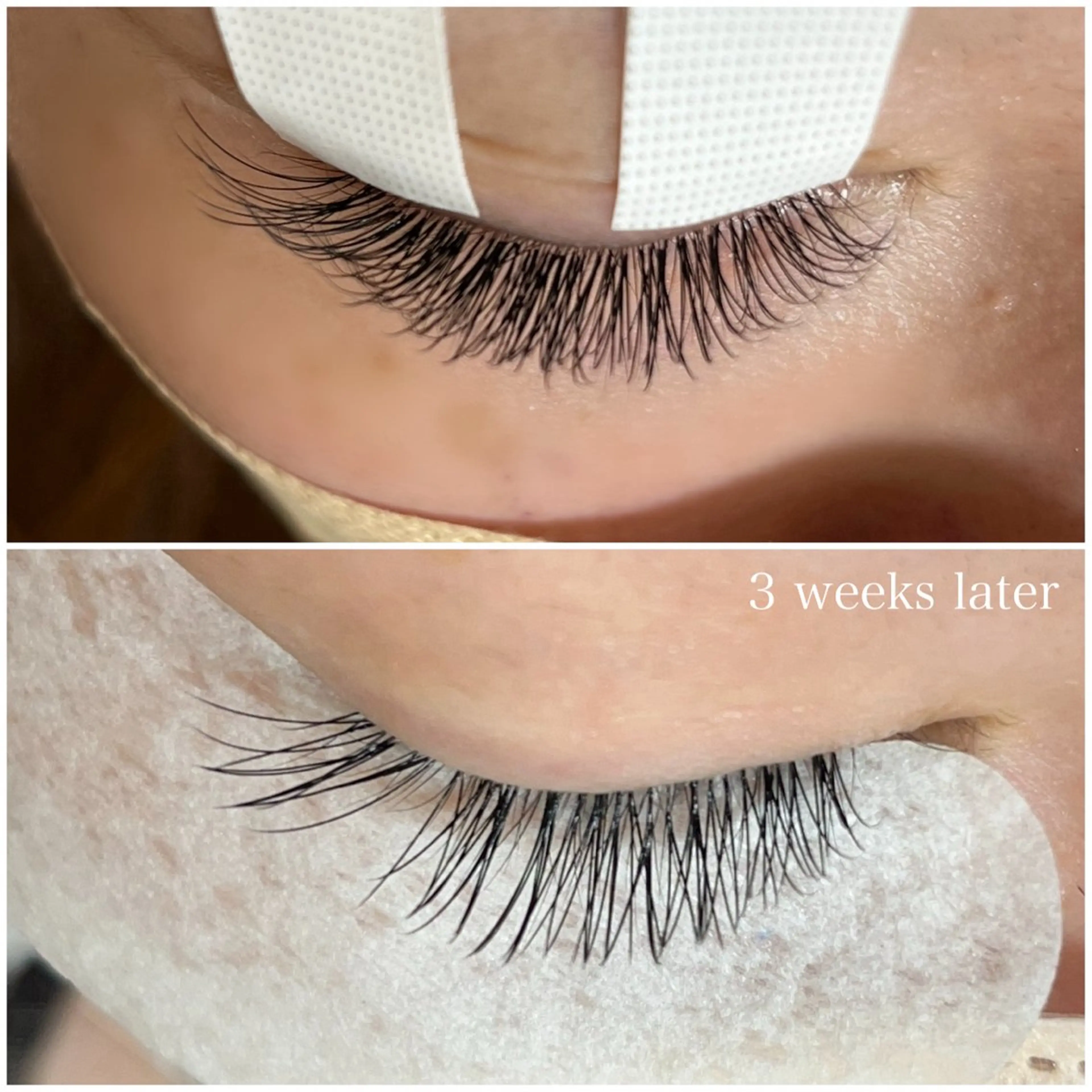 マツエク・マツパ マツエク chérie 🫧大阪福島のマツエク・マツパデザイン