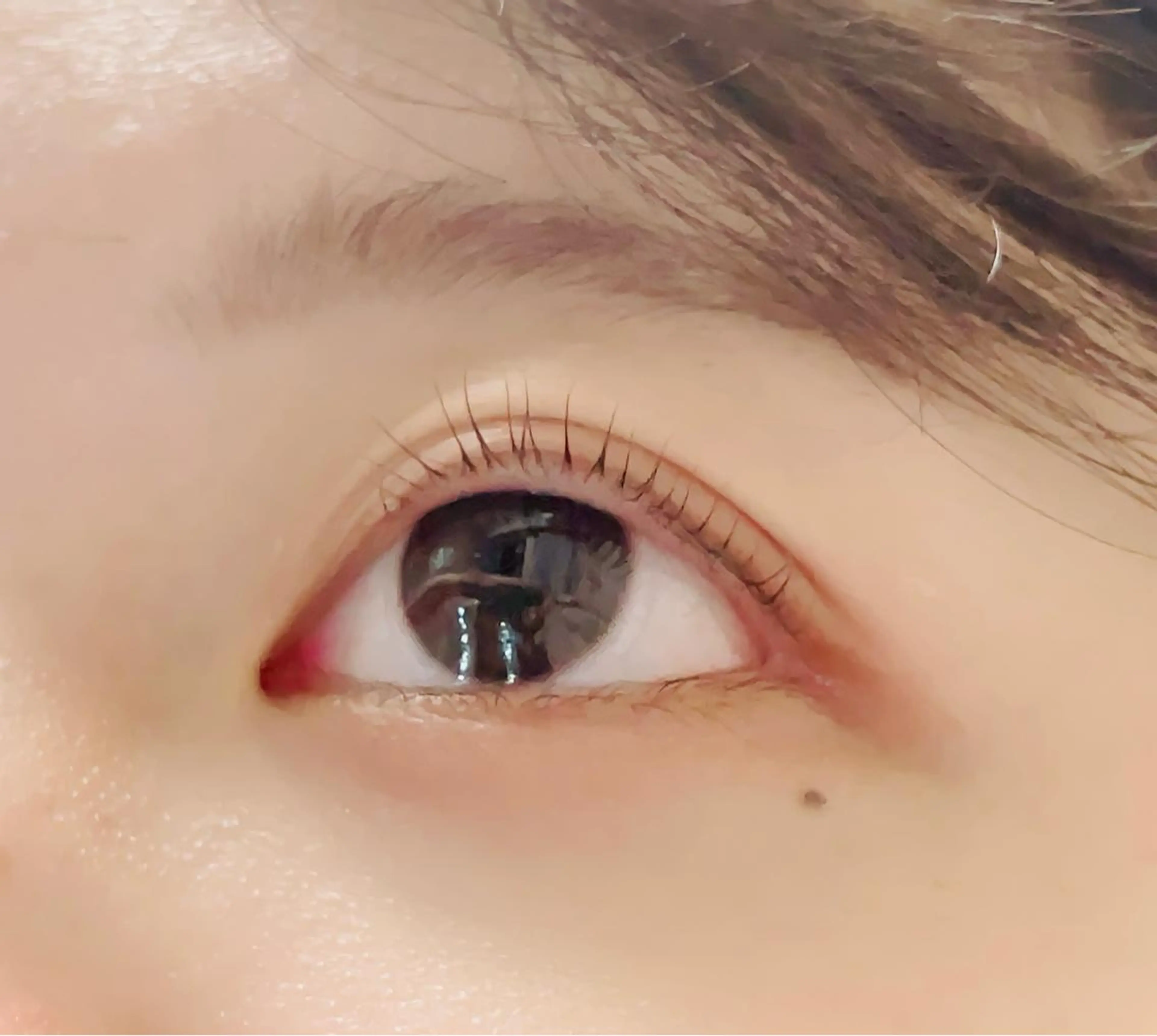 マツエク・マツパ 一重×まつ毛パーマ iu.(イユドット)所属・🤍二条城北iu. /IKUHOのマツエク・マツパデザイン