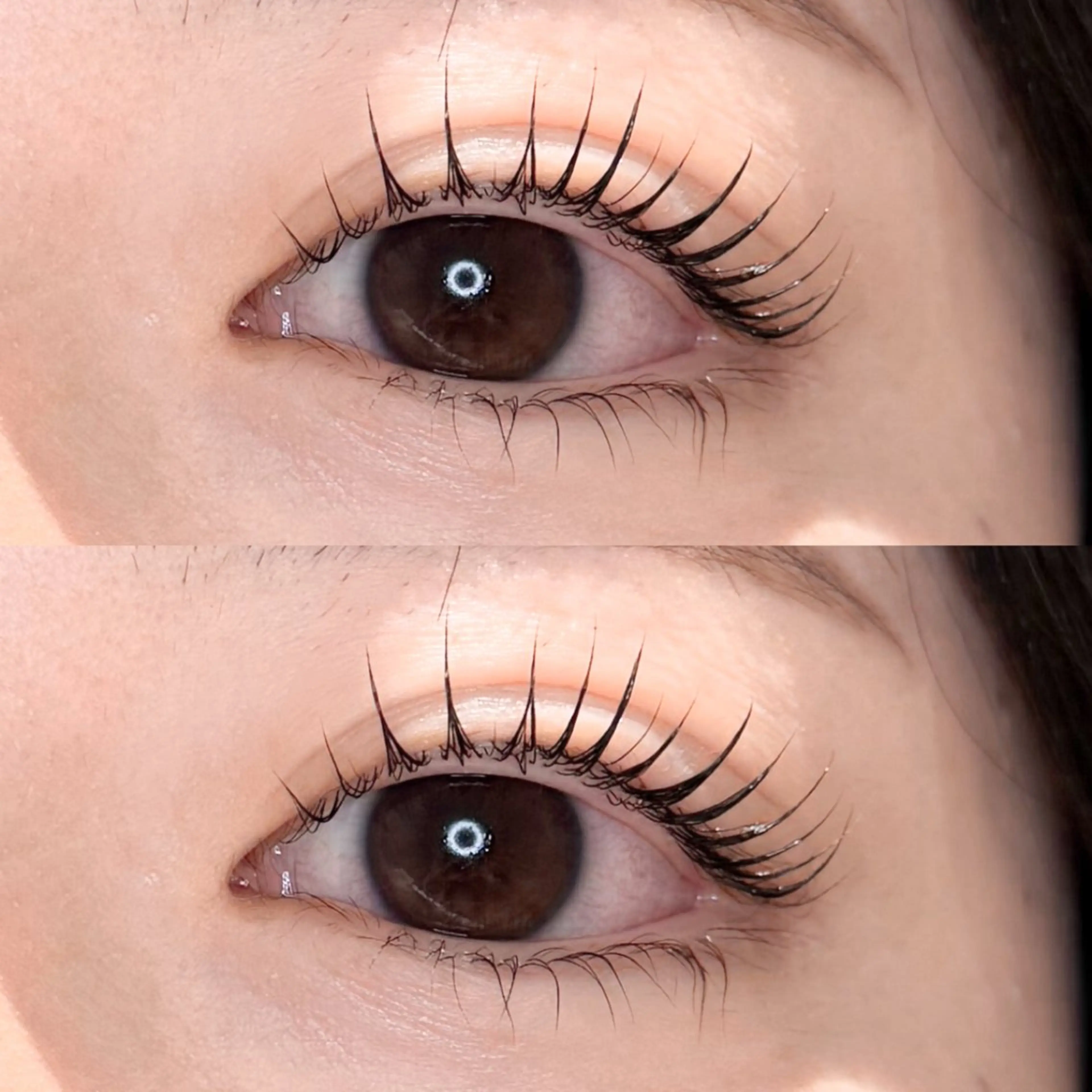 マツエク・マツパ Lowen 野原のマツエク・マツパデザイン