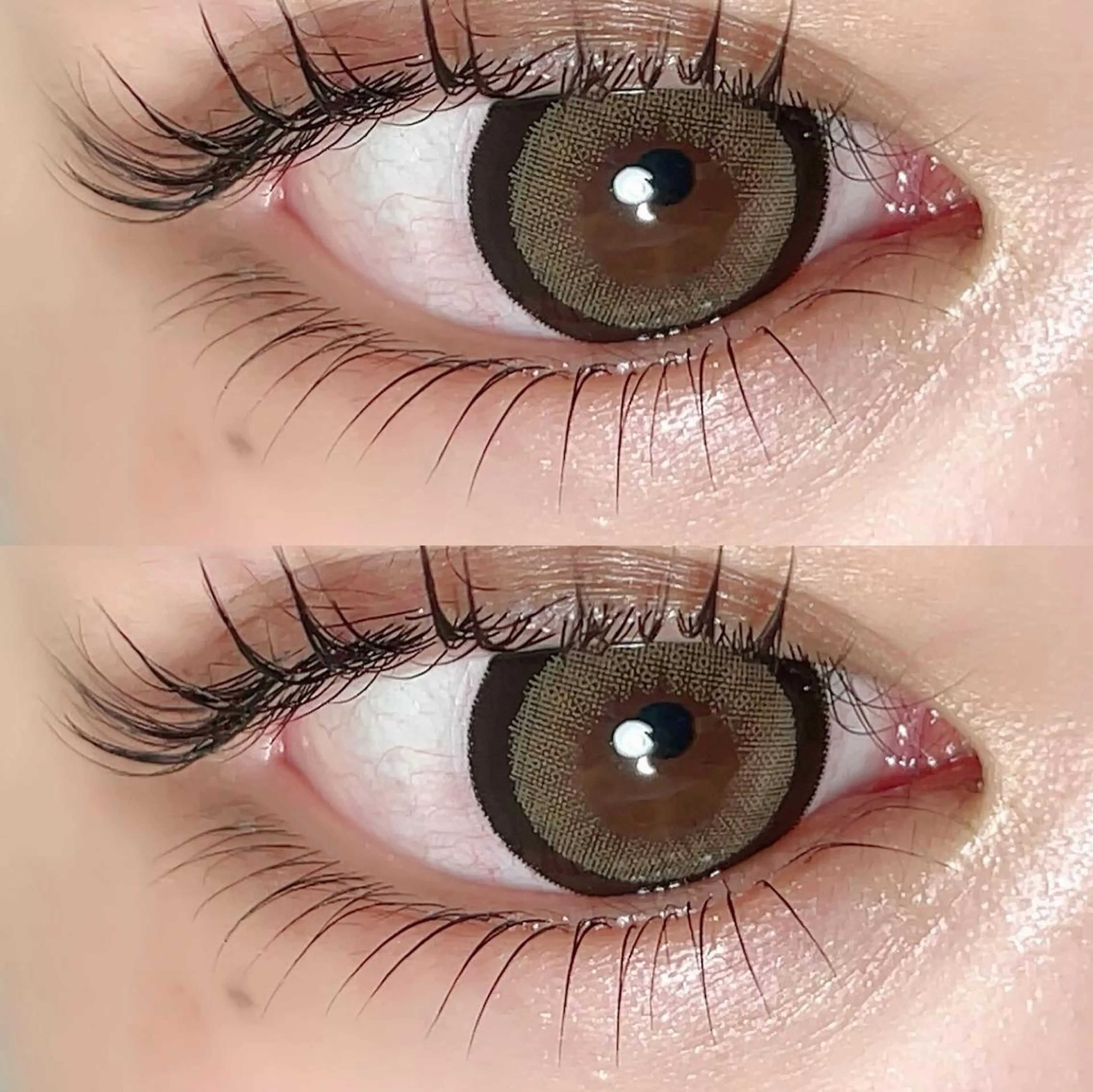 マツエク・マツパ マツパ lieu pré eyelashの眉毛・アイブロウイメージ