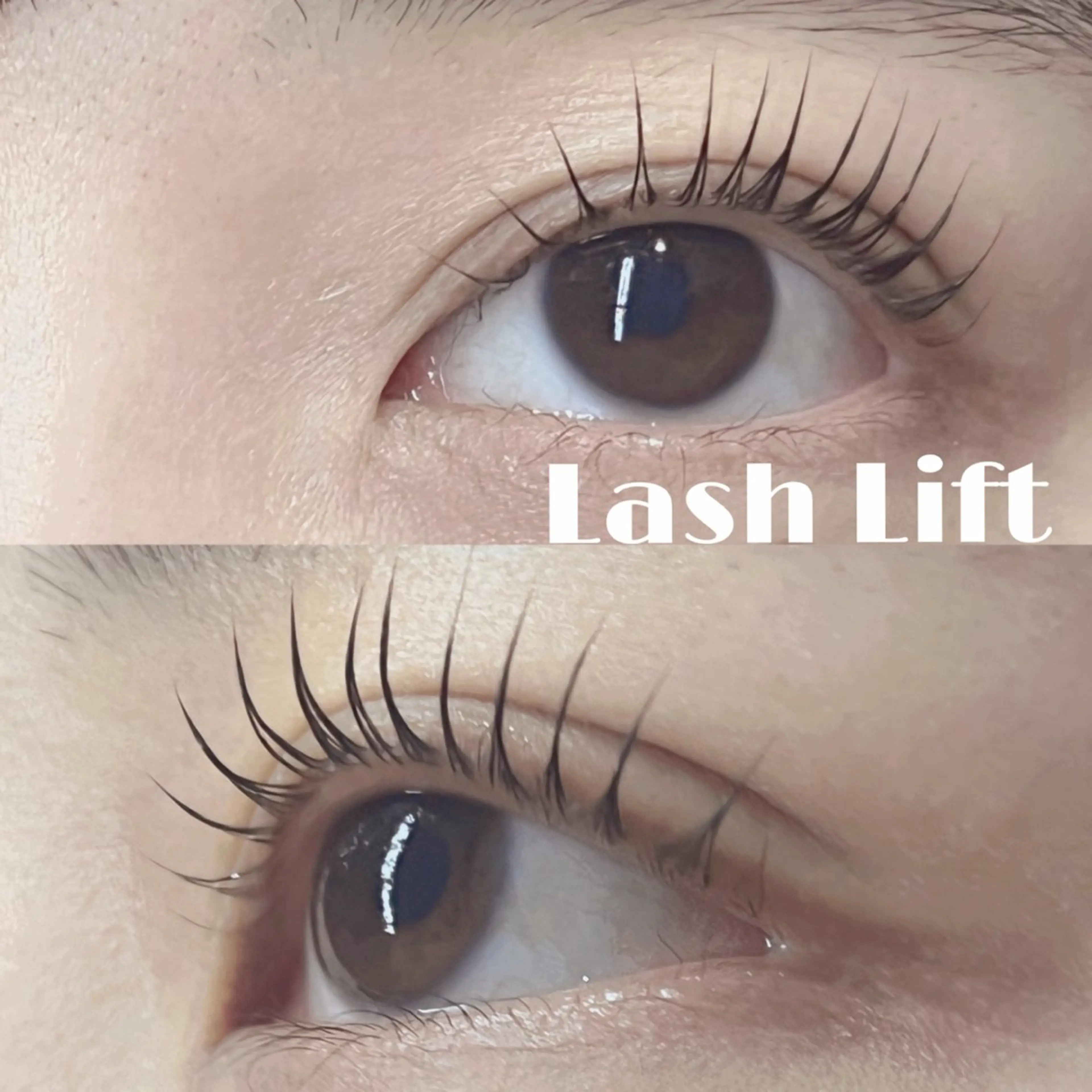 マツエク・マツパ マツパ Lupines🐱 SHIHORIのマツエク・マツパデザイン