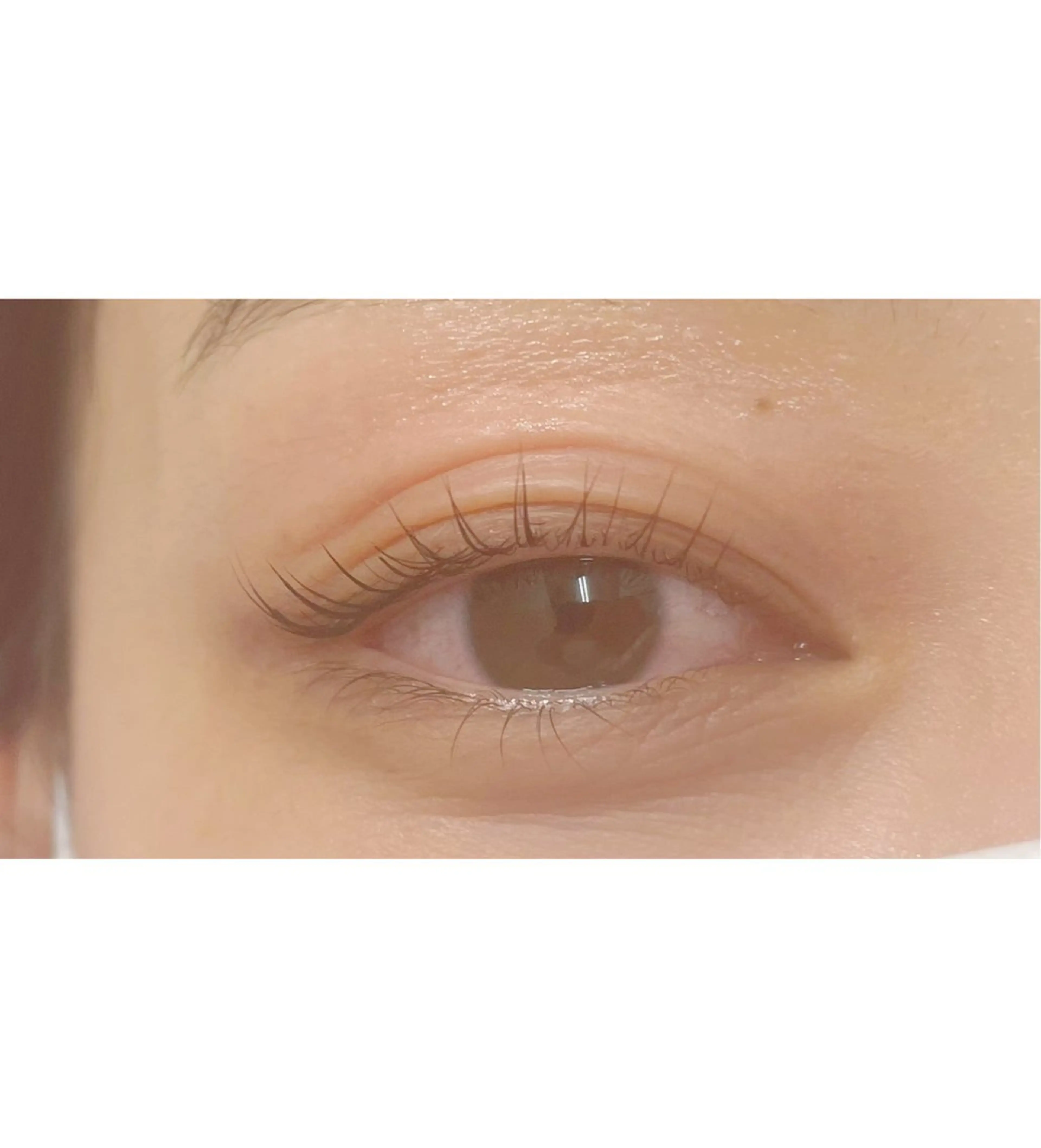 マツエク・マツパ Rich to所属・Rich to🤍 furutaのマツエク・マツパデザイン