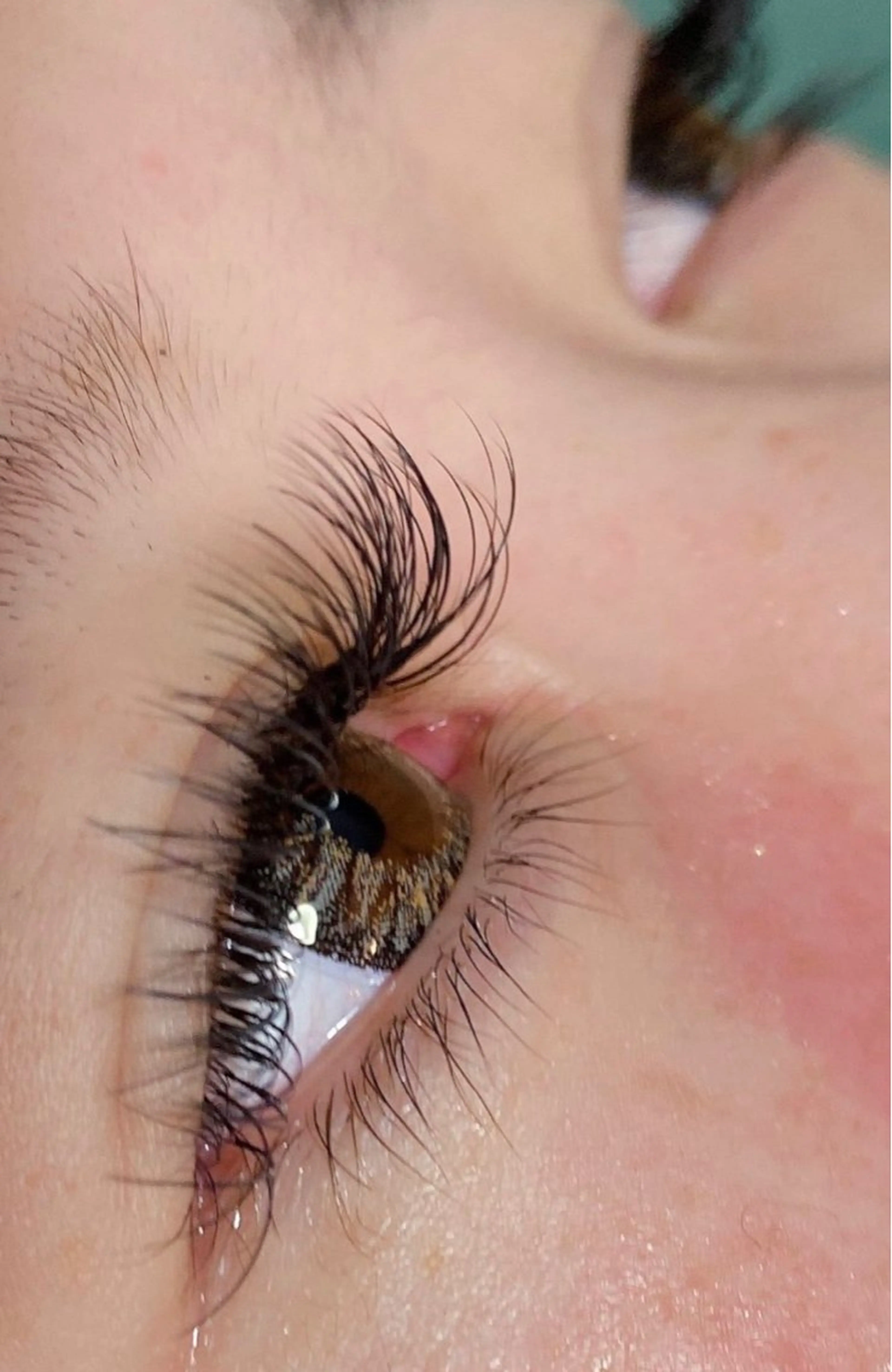 ボリュームラッシュ　600本🌟シングルオフコーティング込💓フサフサしっかりボリューム✨👁の写真