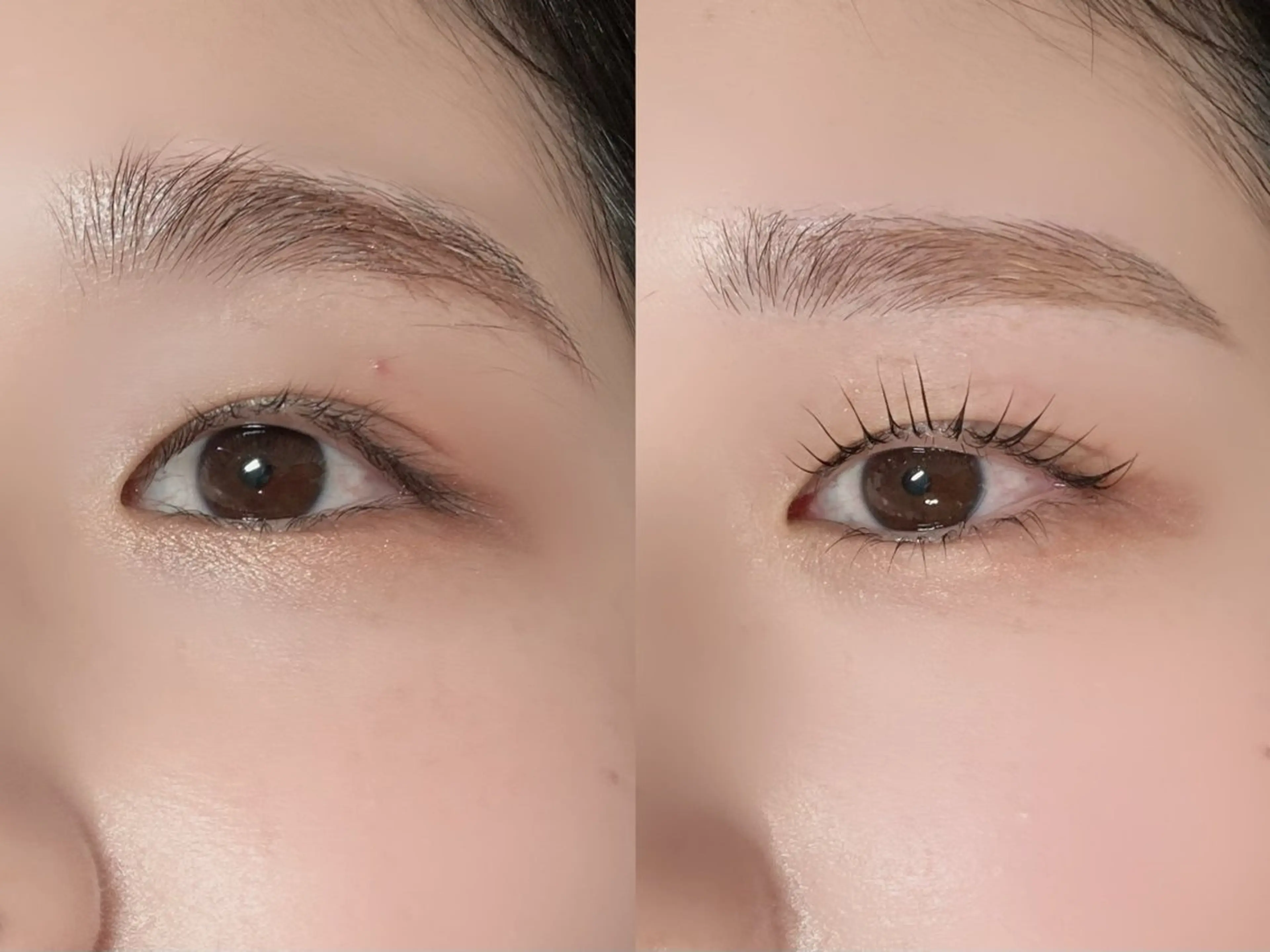 マツエク・マツパ ナチュラル Lashure CHITOSEのマツエク・マツパデザイン