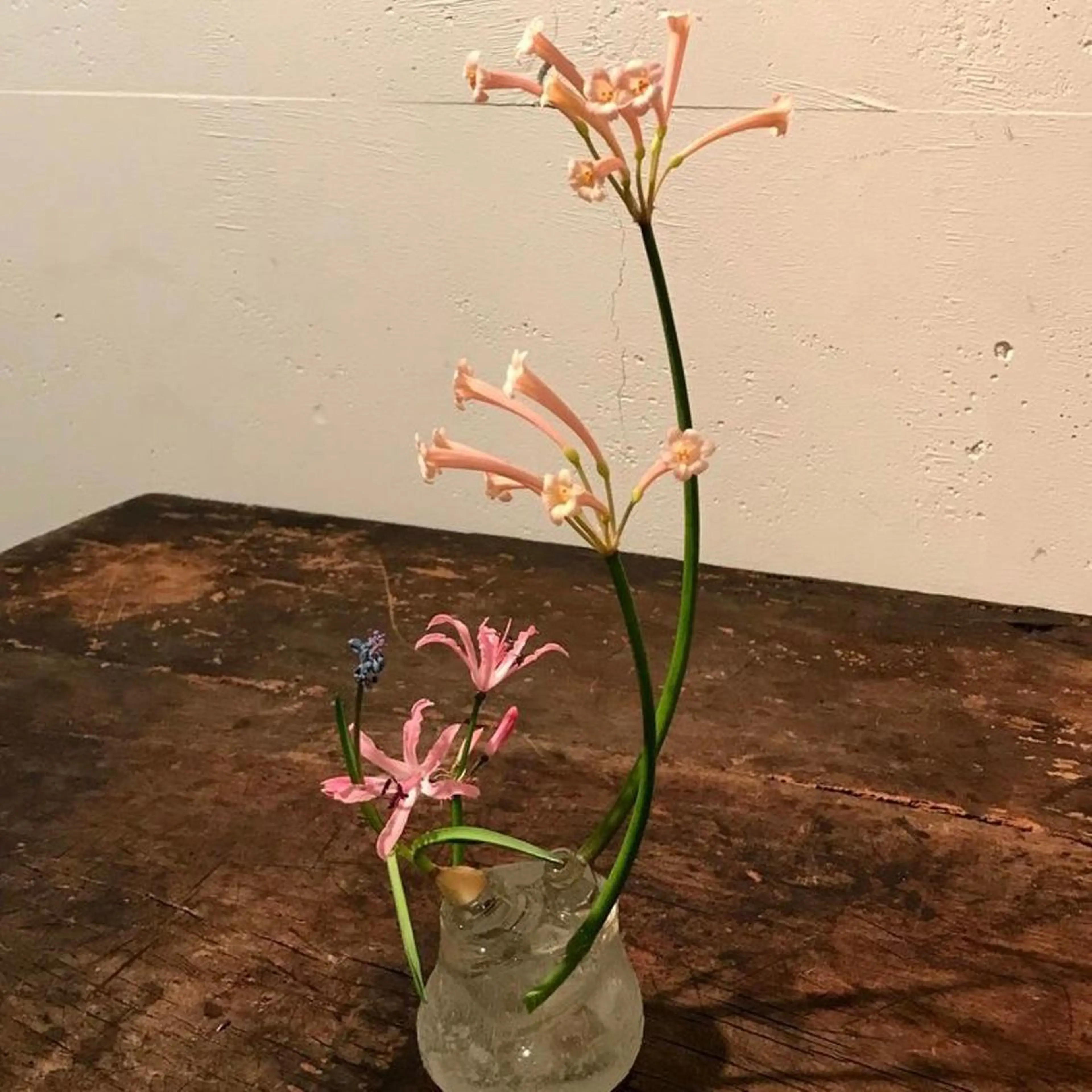 マツエク・マツパ komatsu eyelash恵比寿のマツエク・マツパデザイン